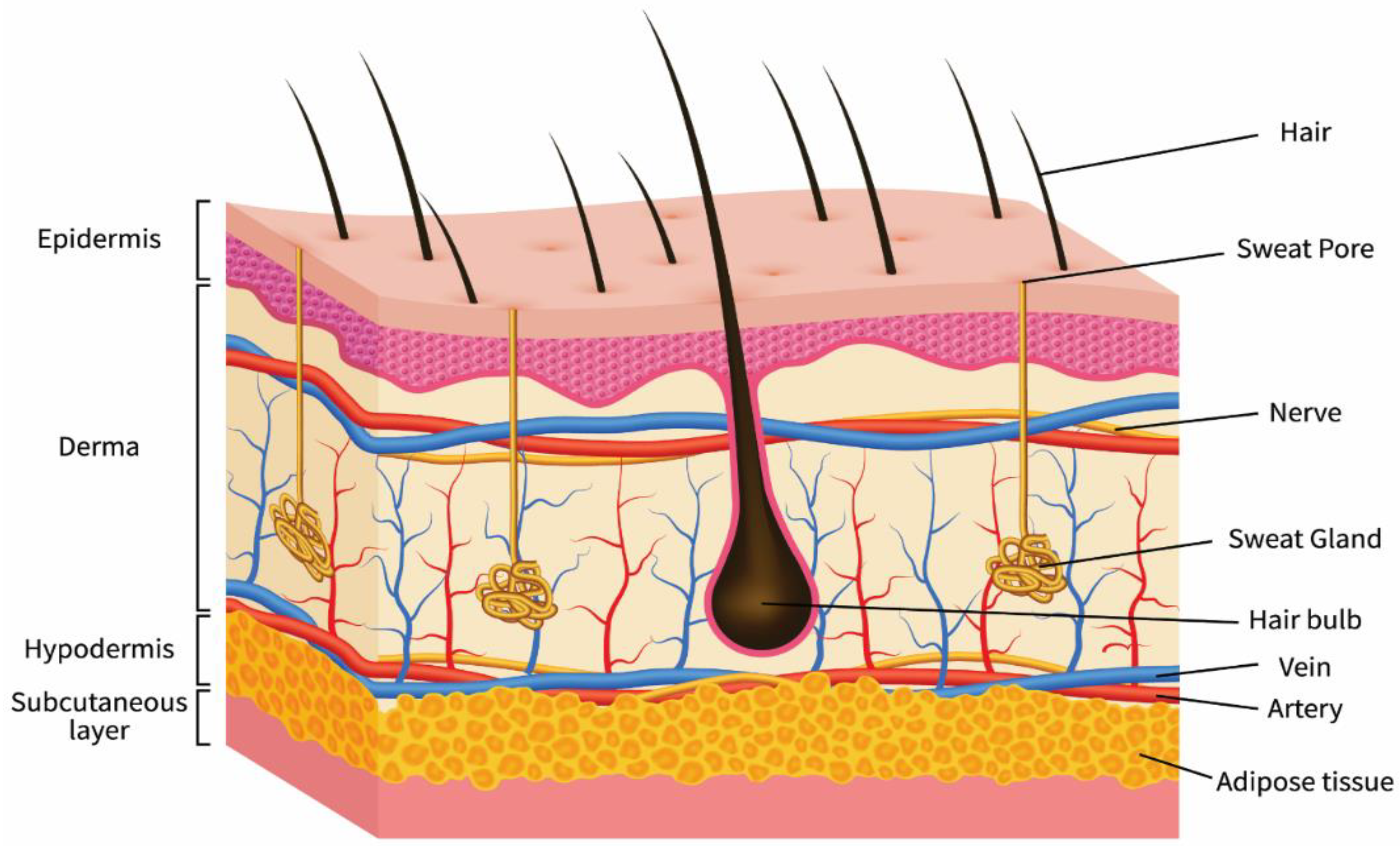 Polymers 14 03994 g002