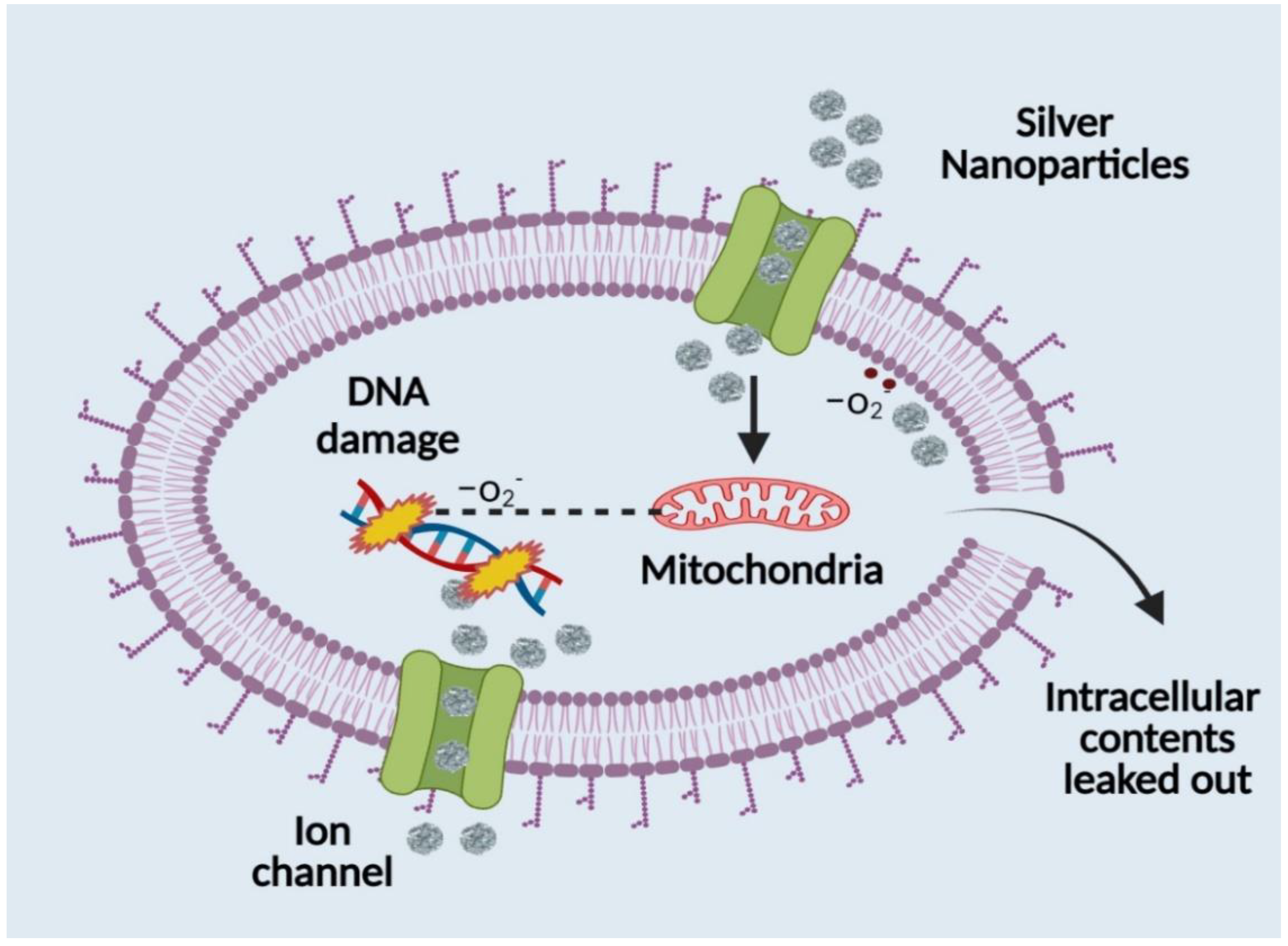 Polymers 14 03994 g004