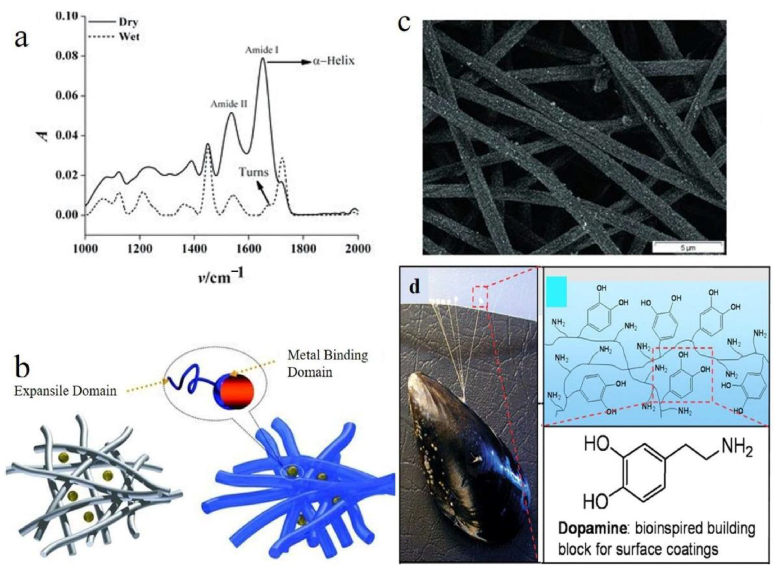 Polymers 14 03994 g009