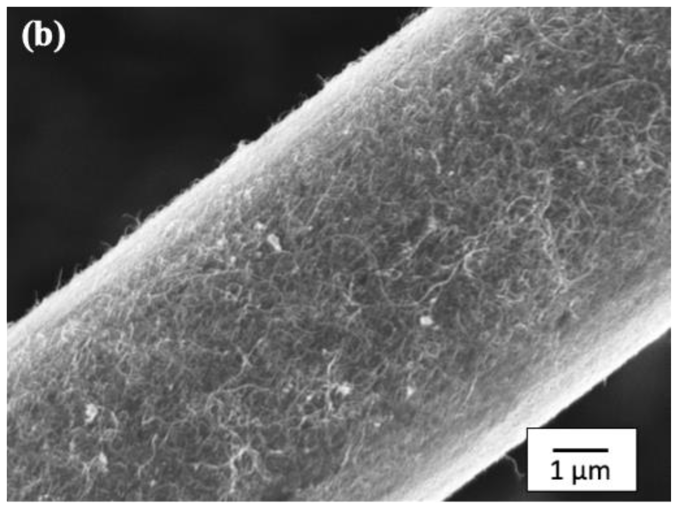 Polymers 14 03999 g006b