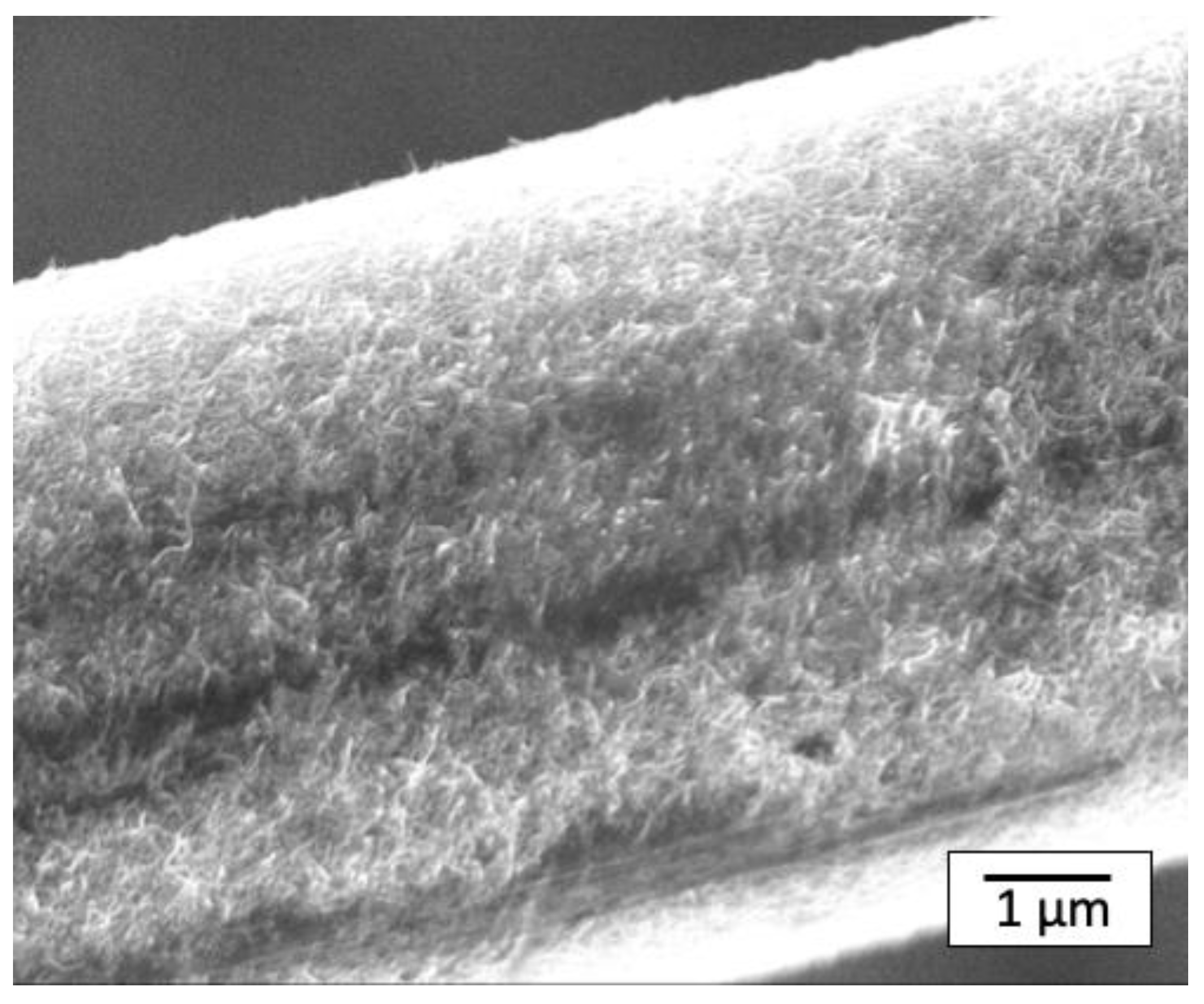 Polymers 14 03999 g008