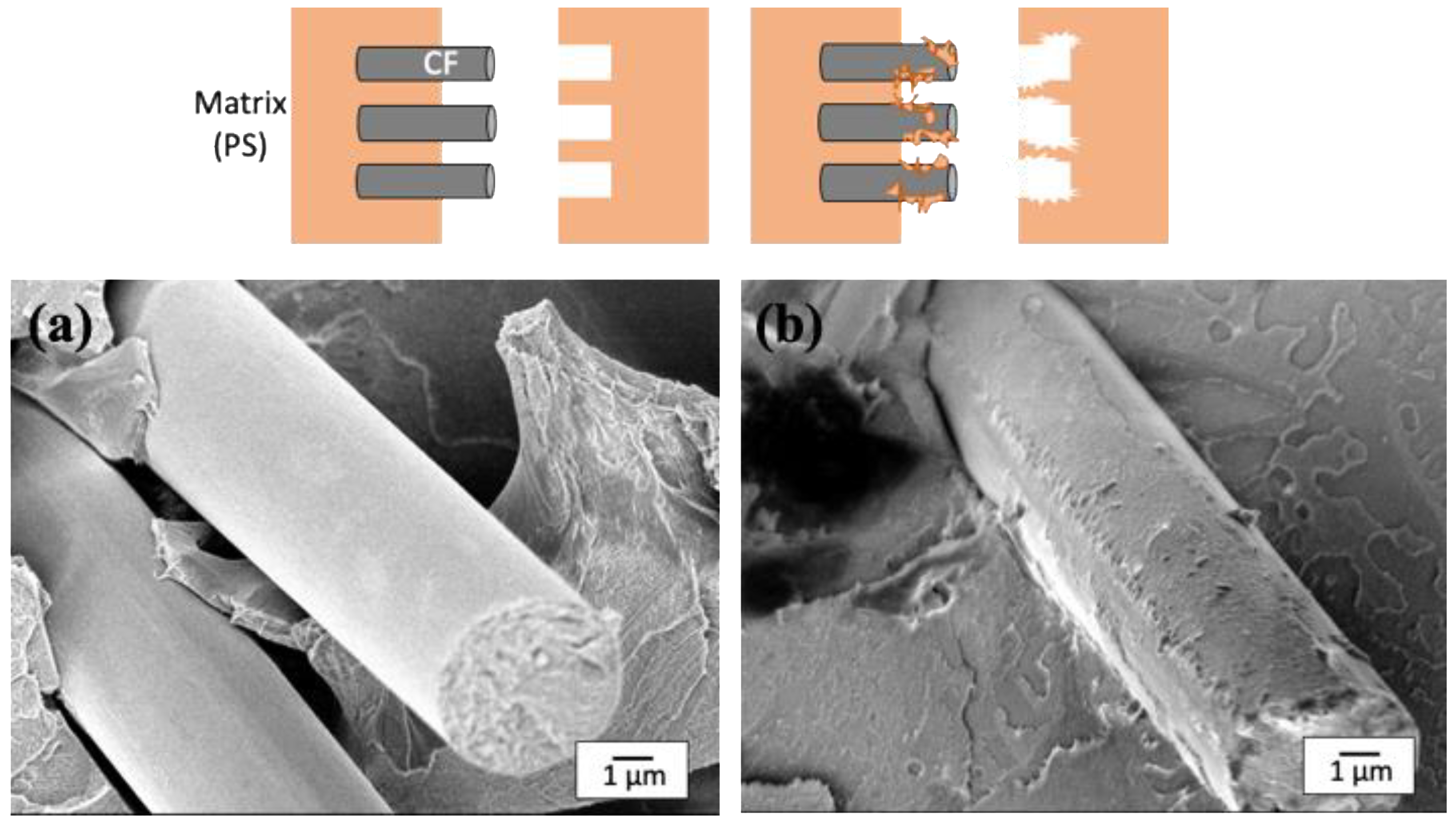 Polymers 14 03999 g009
