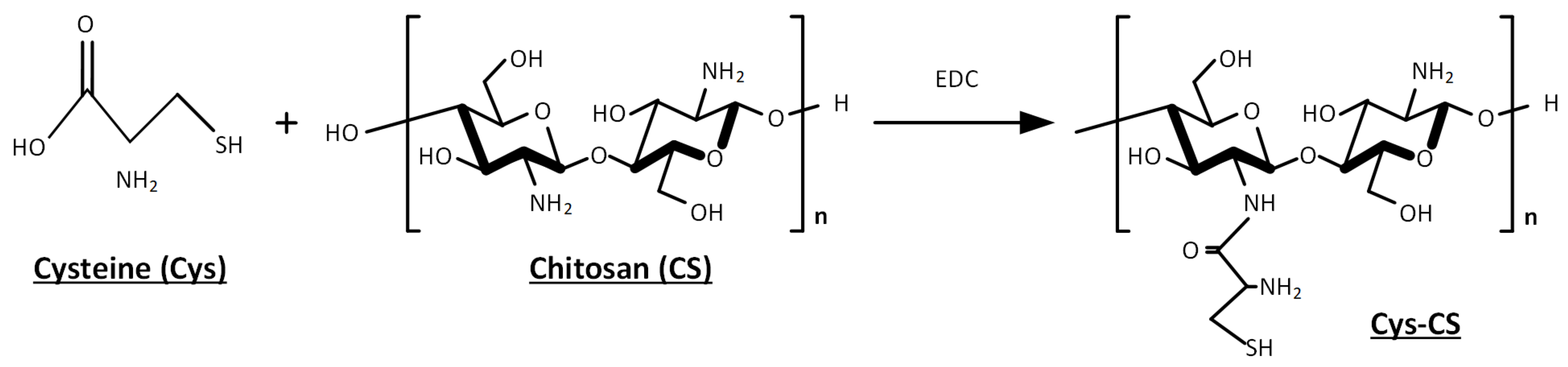 Polymers 14 04004 g001