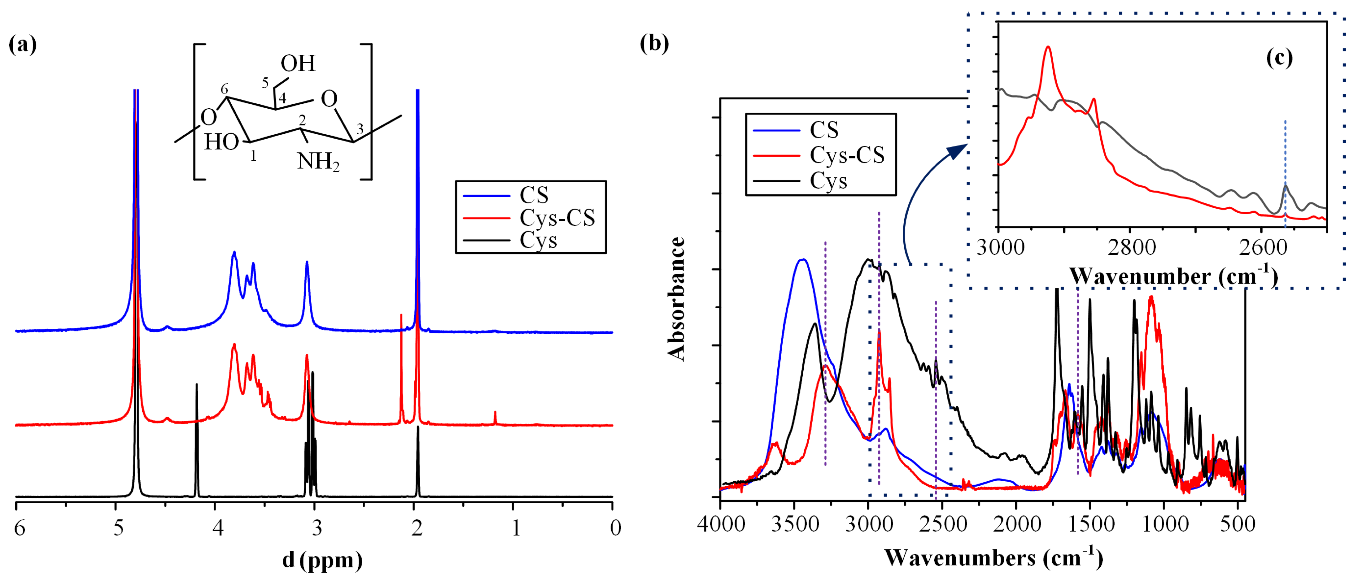Polymers 14 04004 g002