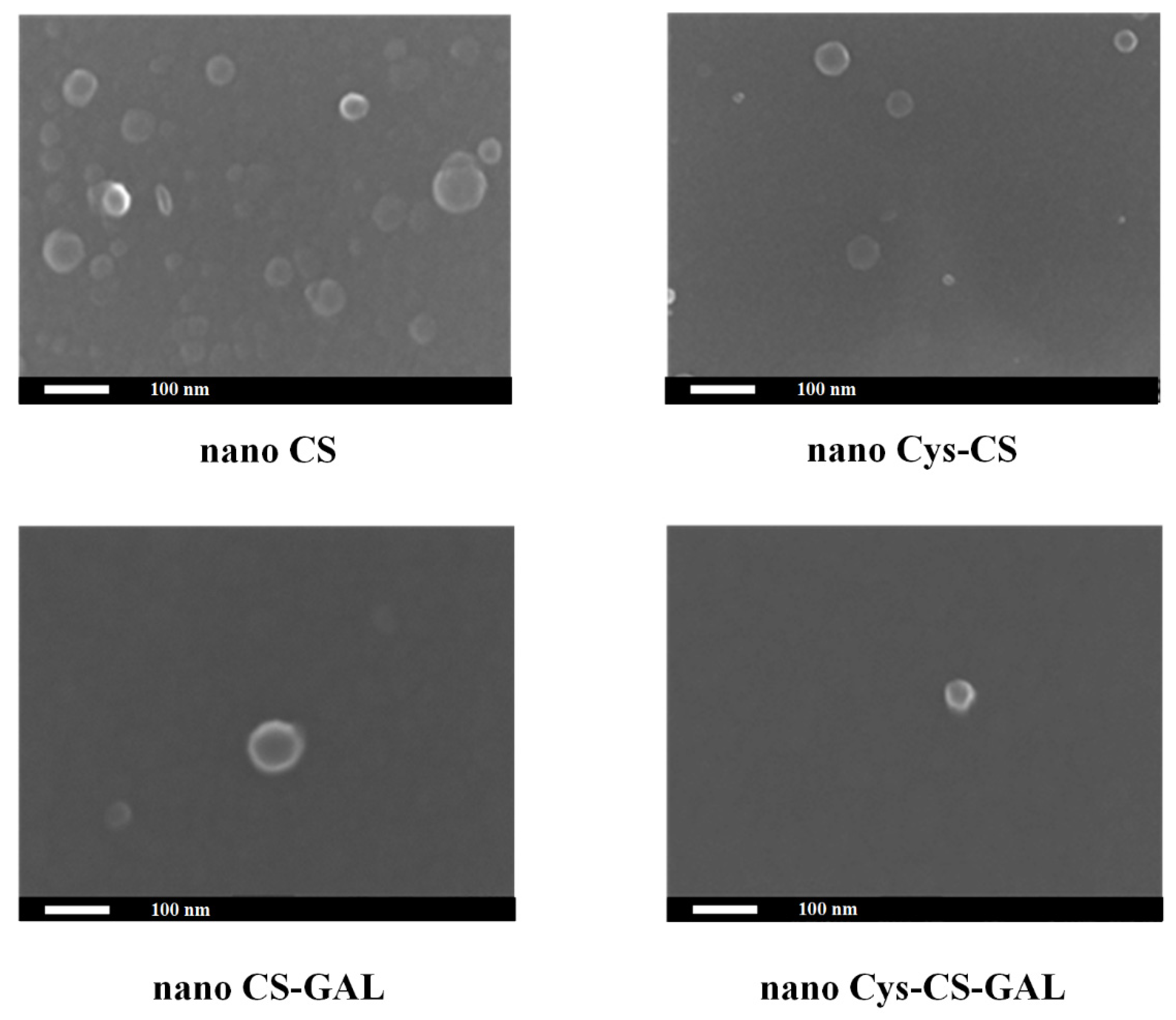 Polymers 14 04004 g006
