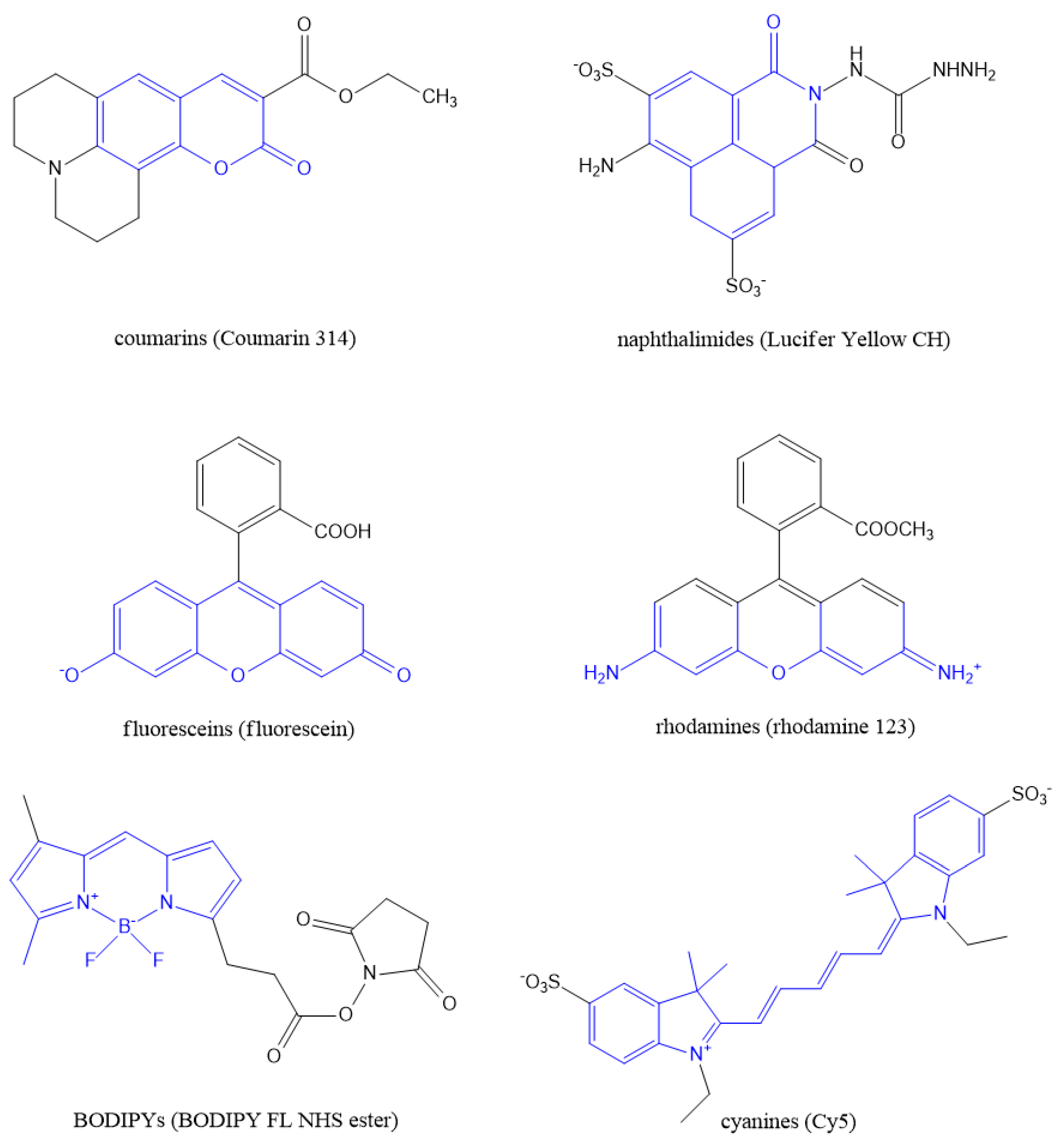 Polymers 14 04006 g002 Polymers 14 04006 g002