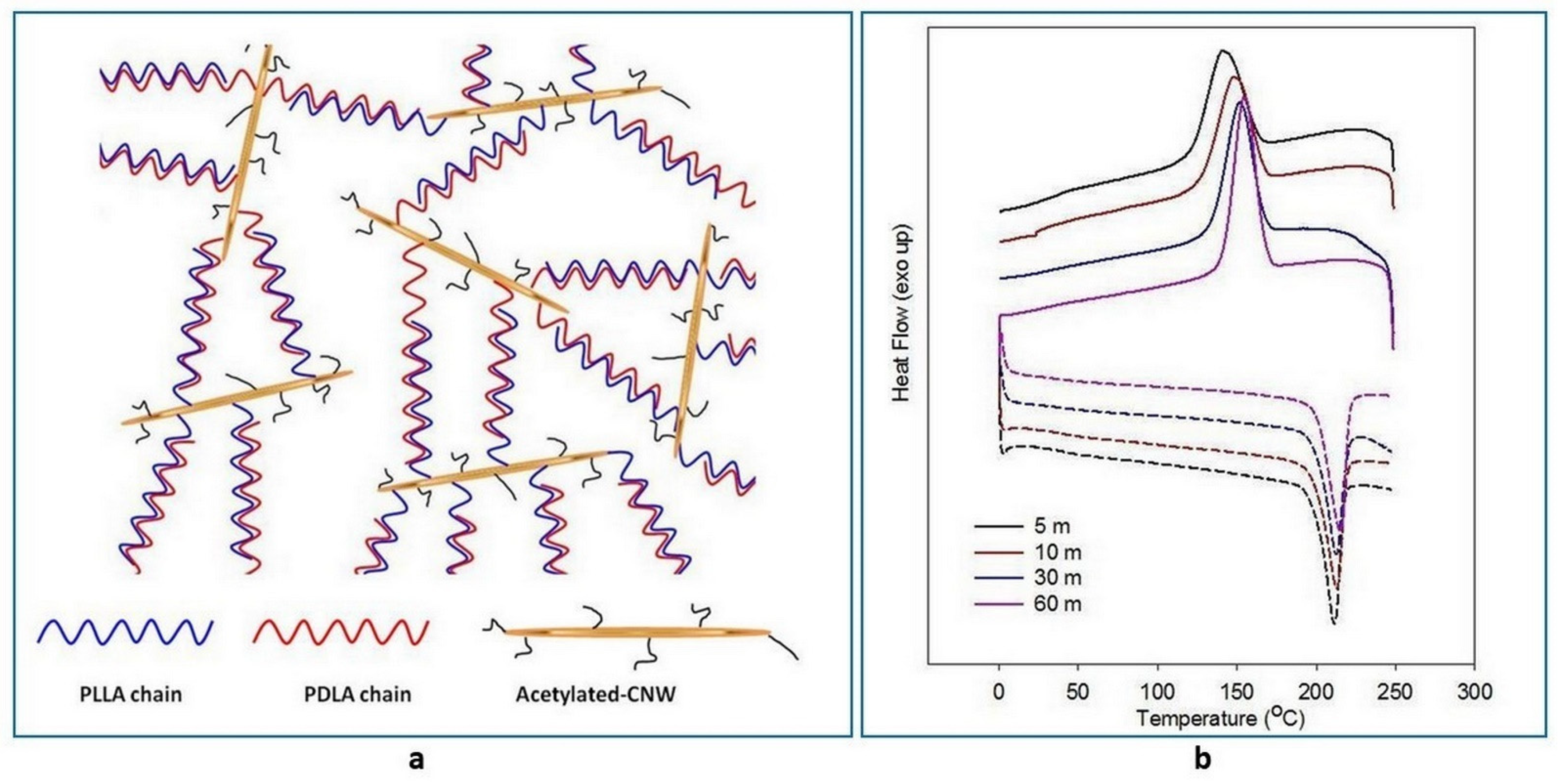 Polymers 14 04009 g008