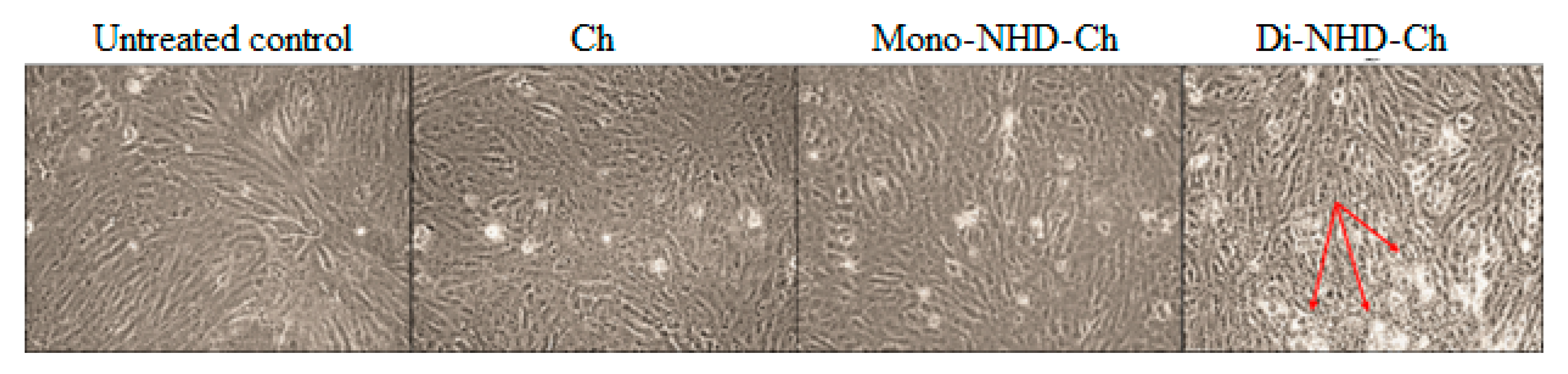 Polymers 14 04011 g006