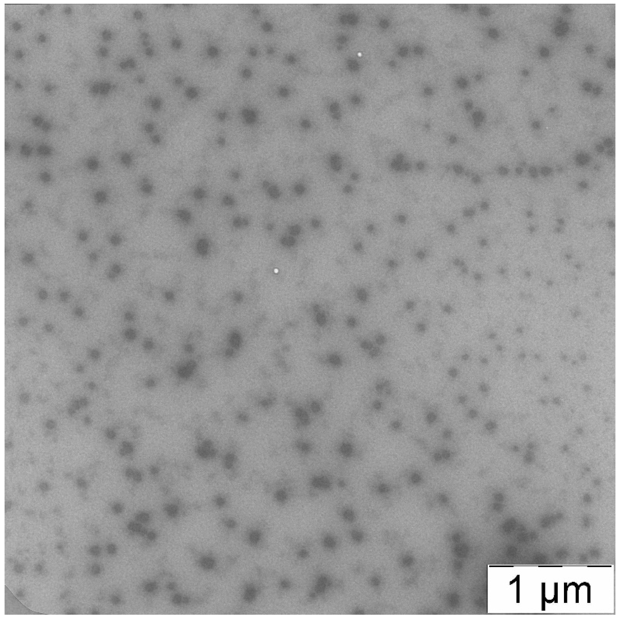 Polymers 14 04013 g013