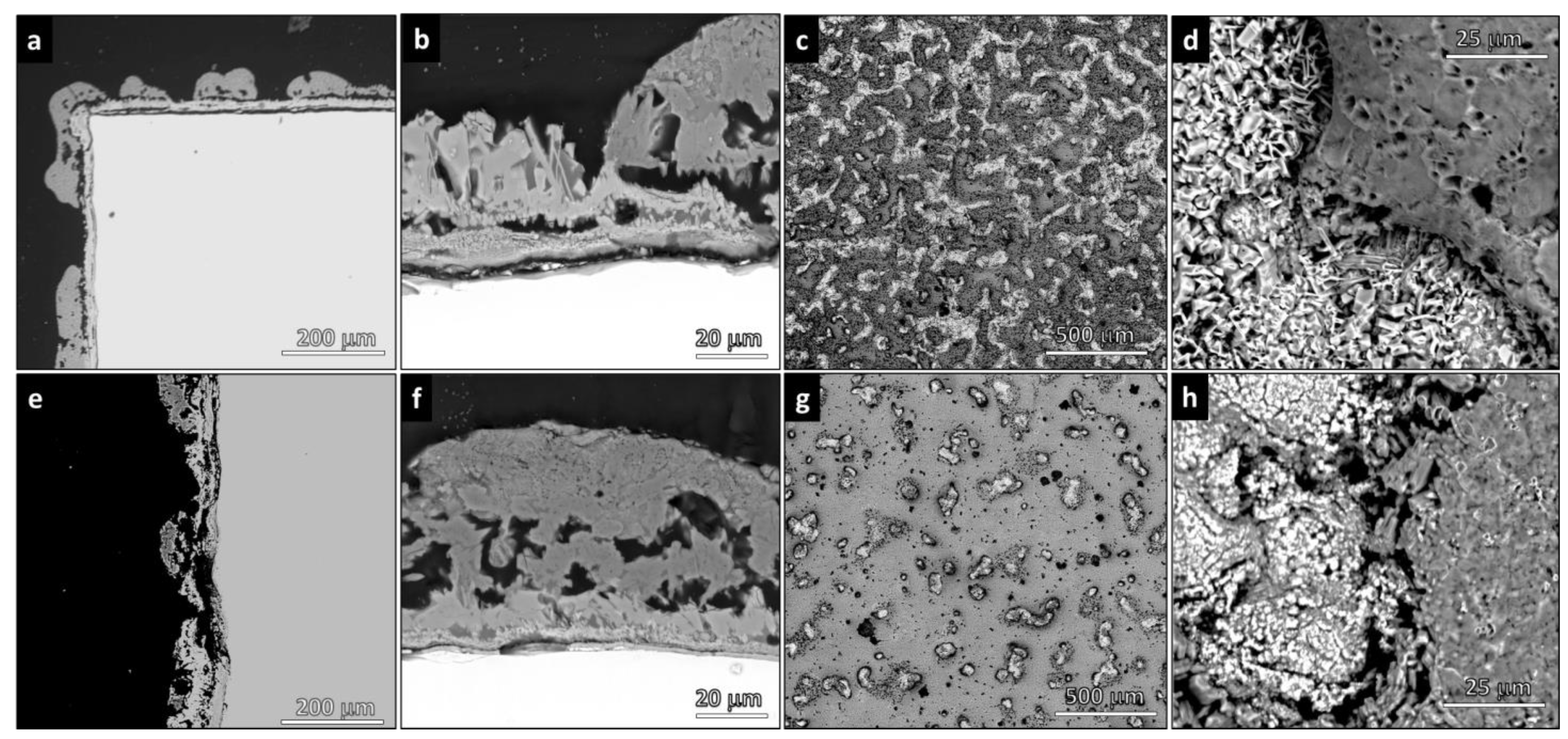 Polymers 14 04016 g005