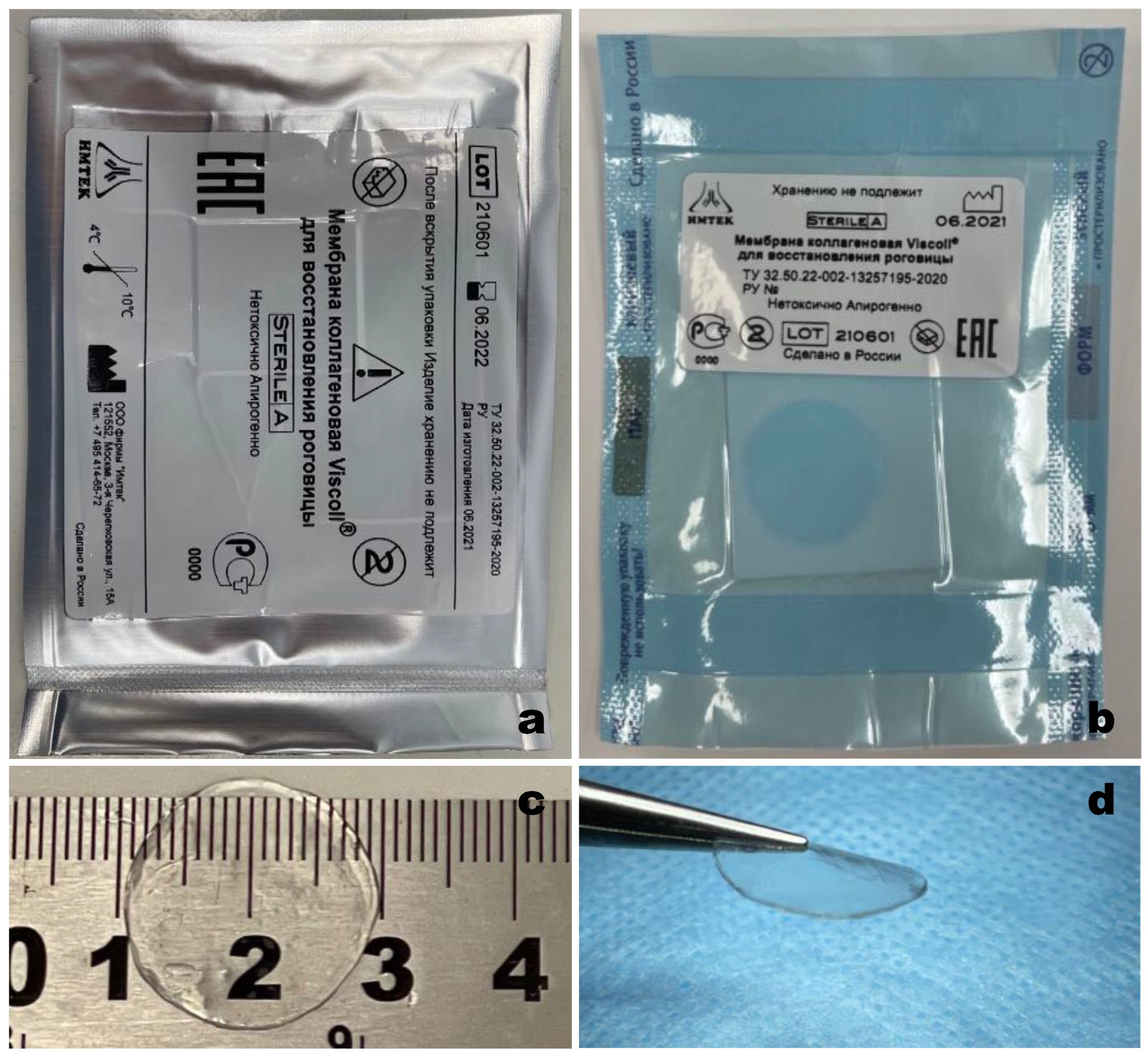 Polymers 14 04017 g001