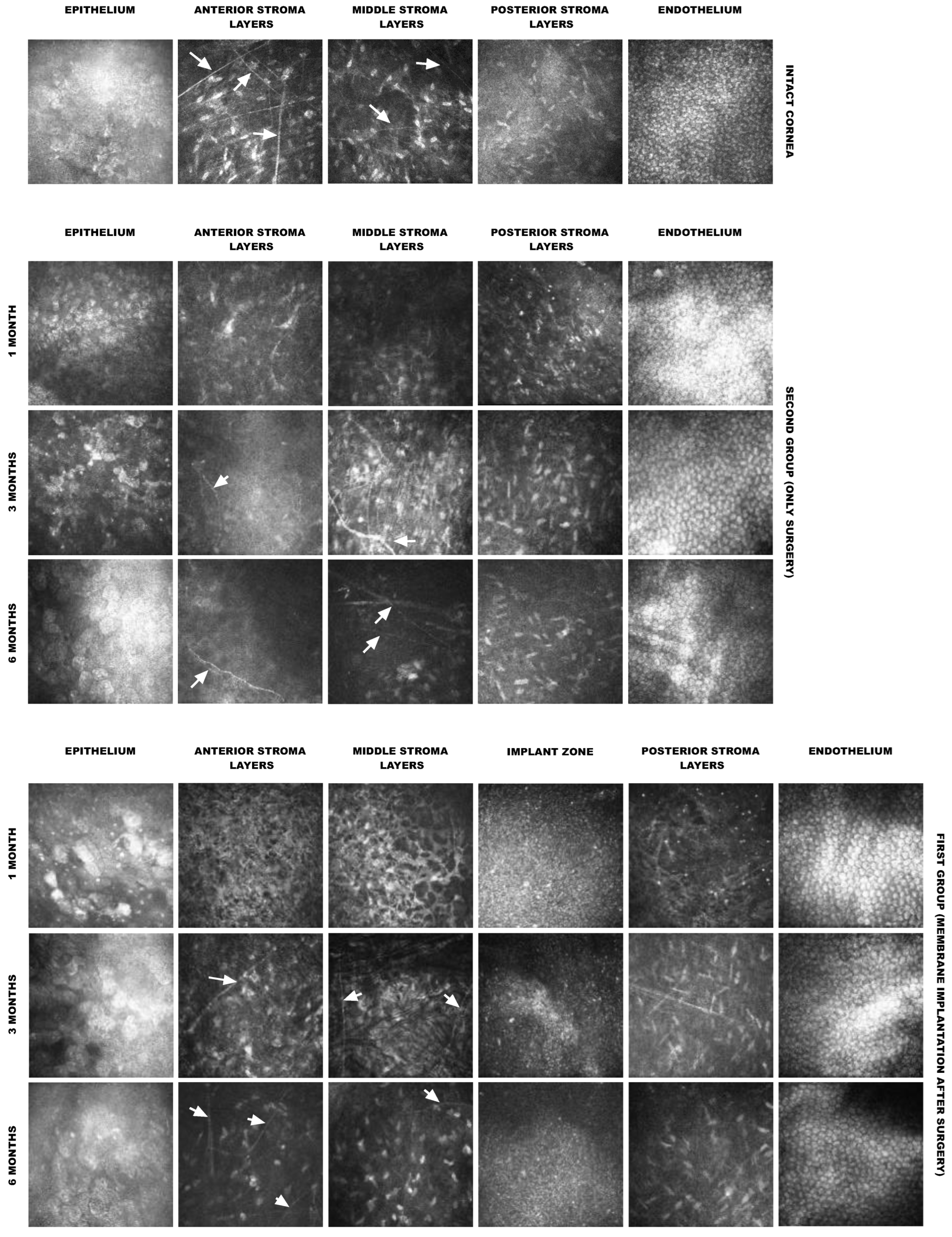 Polymers 14 04017 g005