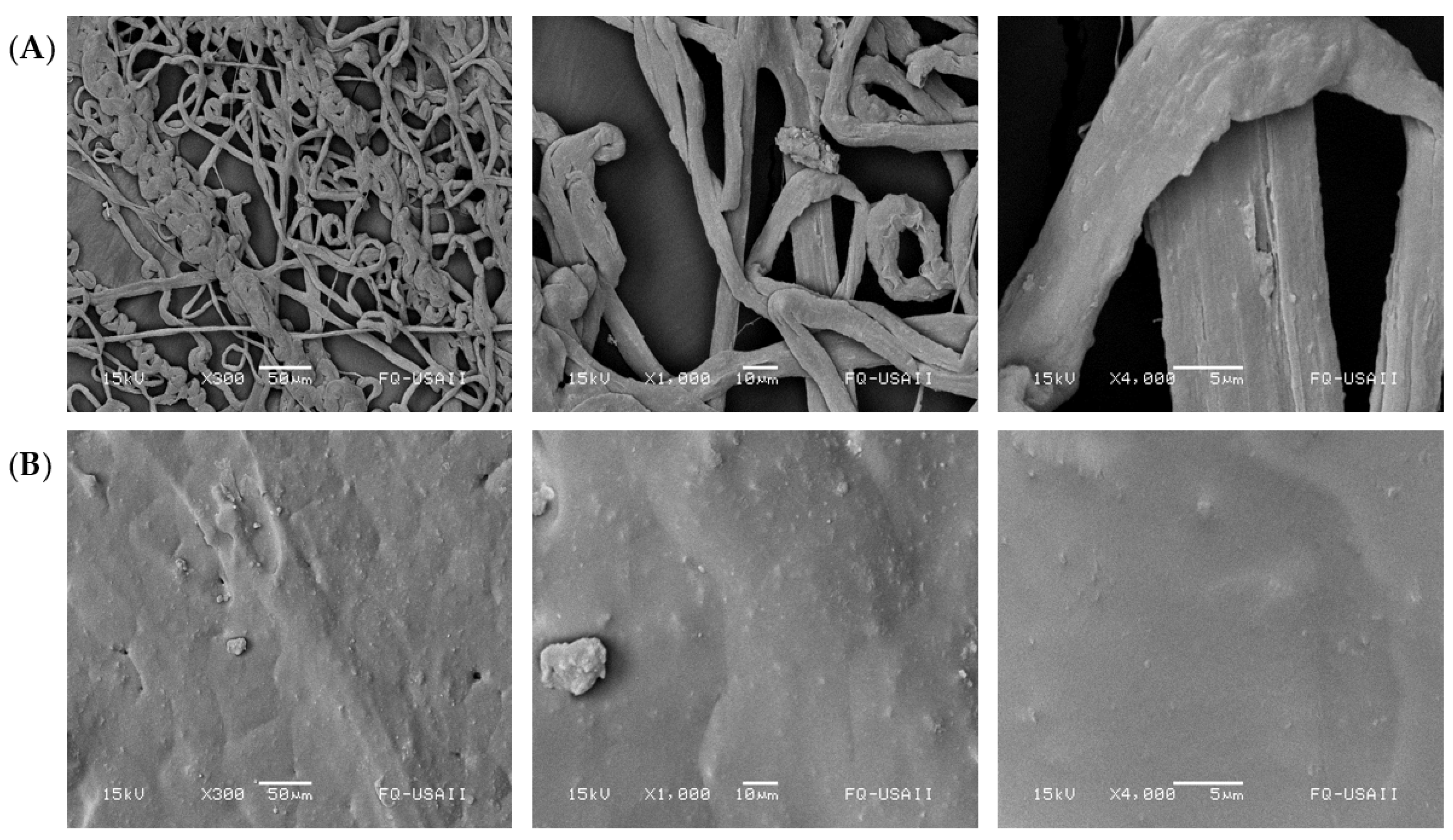 Polymers 14 04021 g003