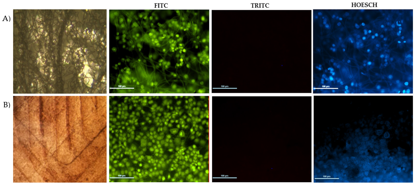 Polymers 14 04021 g005