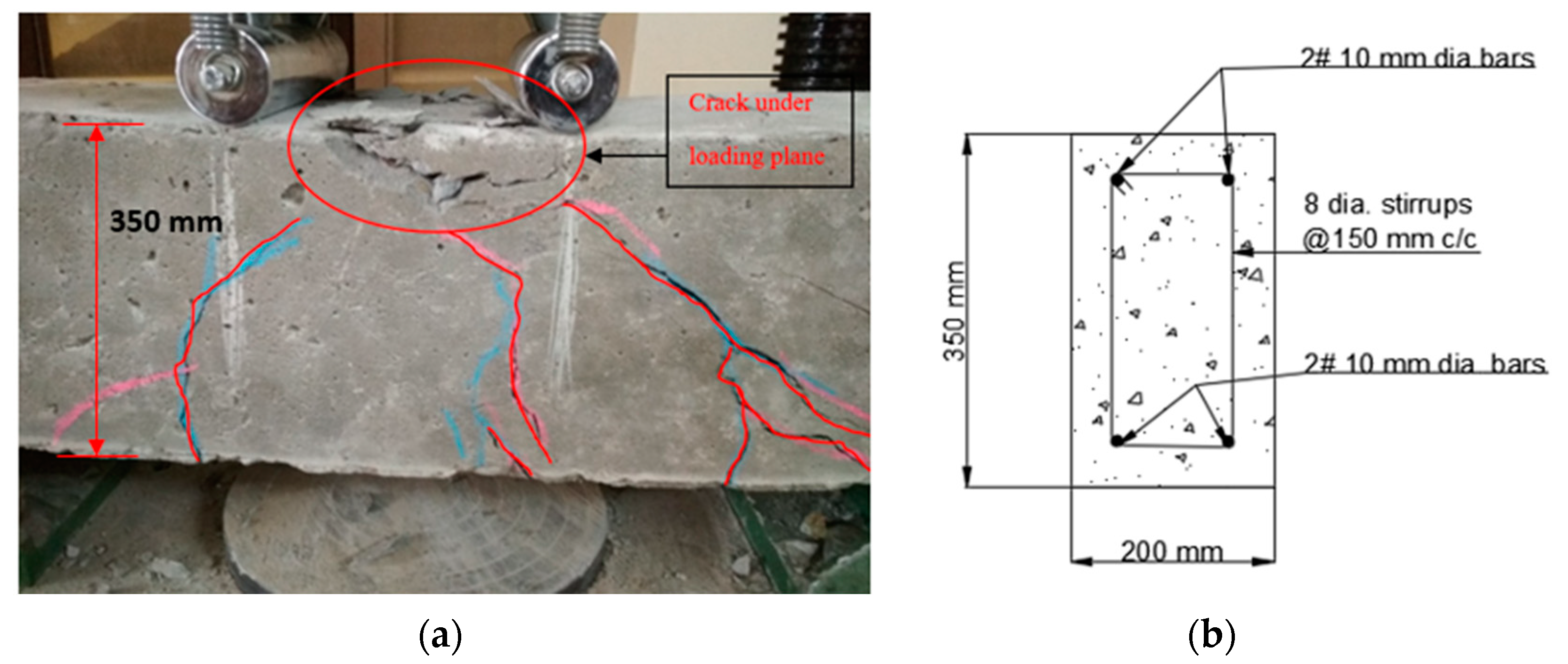 Polymers 14 04024 g007