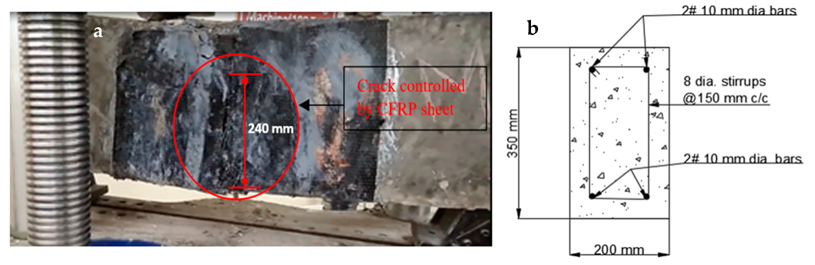 Polymers 14 04024 g021