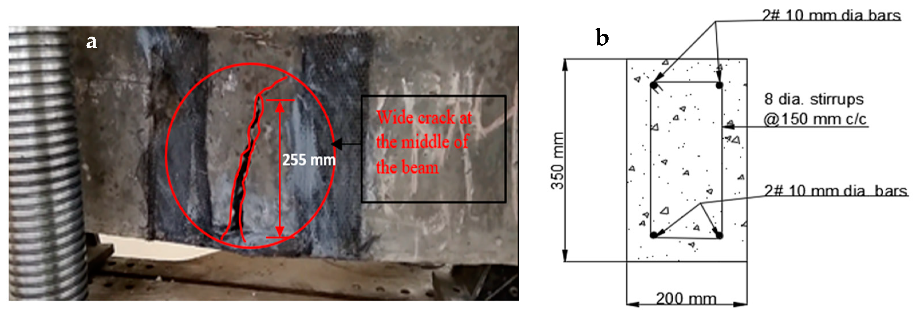 Polymers 14 04024 g022