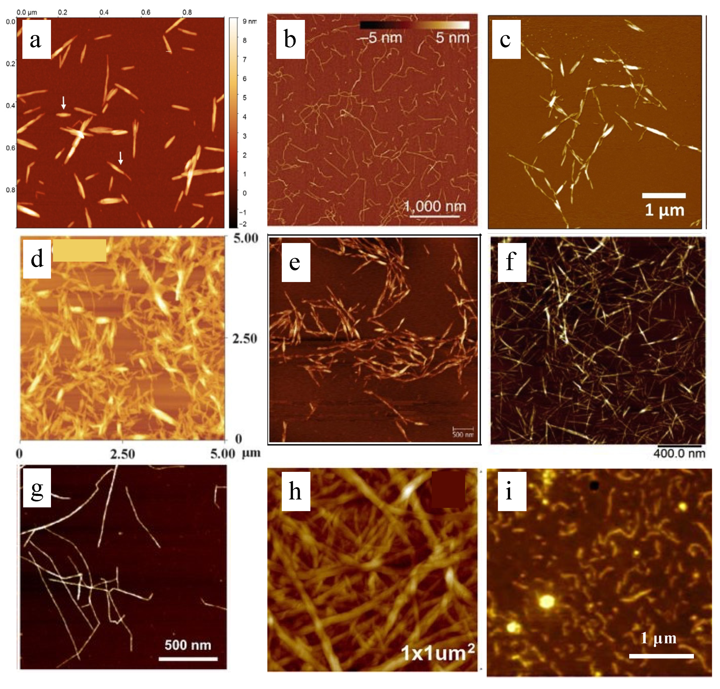 Polymers 14 04025 g005