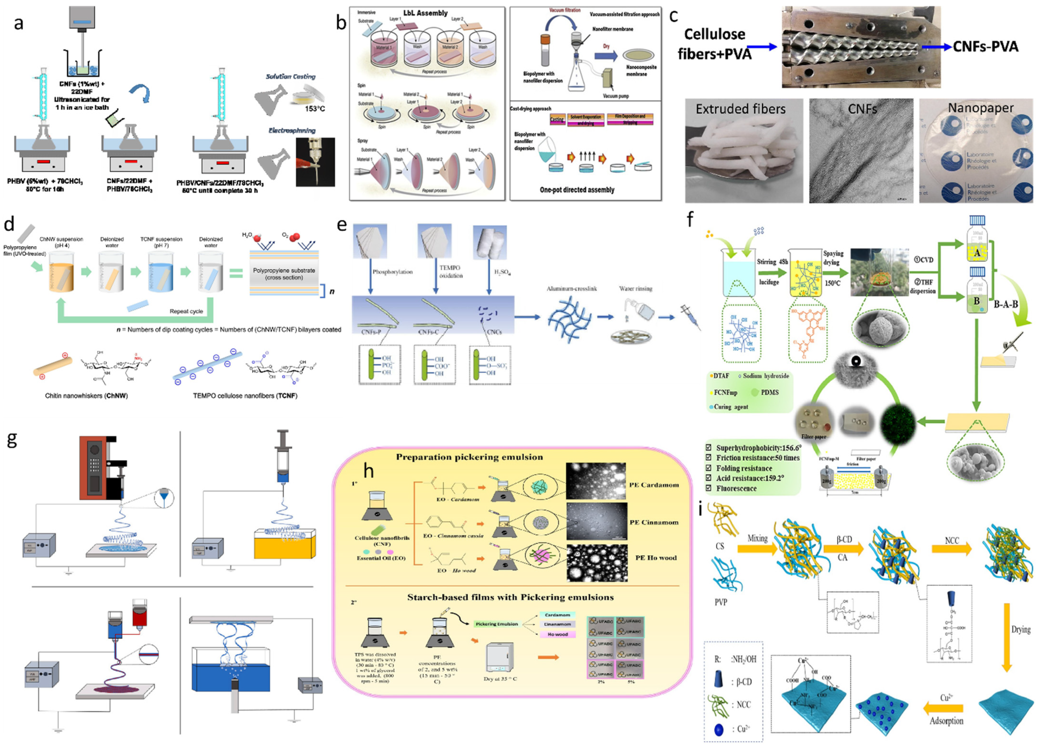Polymers 14 04025 g007