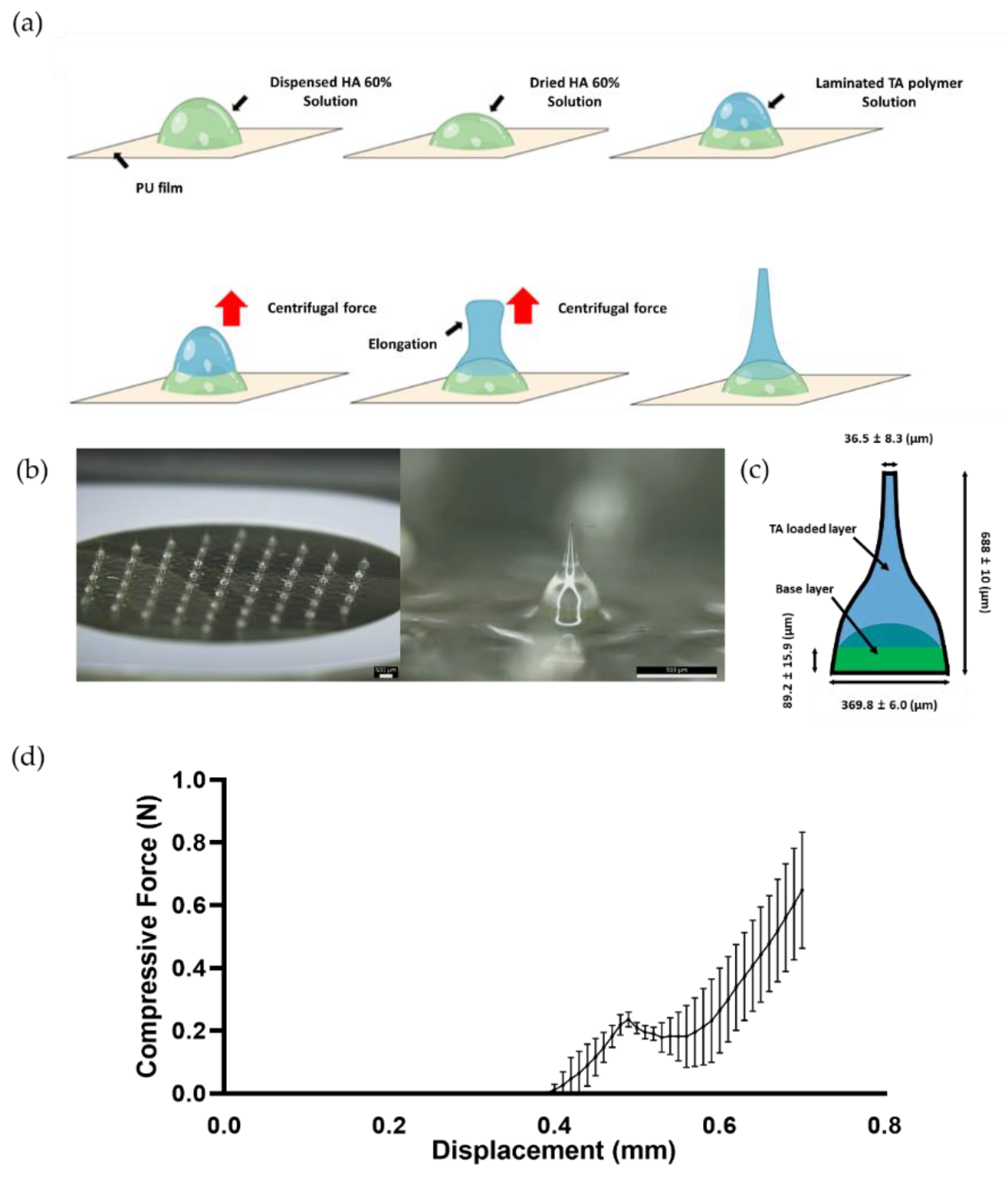 Polymers 14 04027 g002