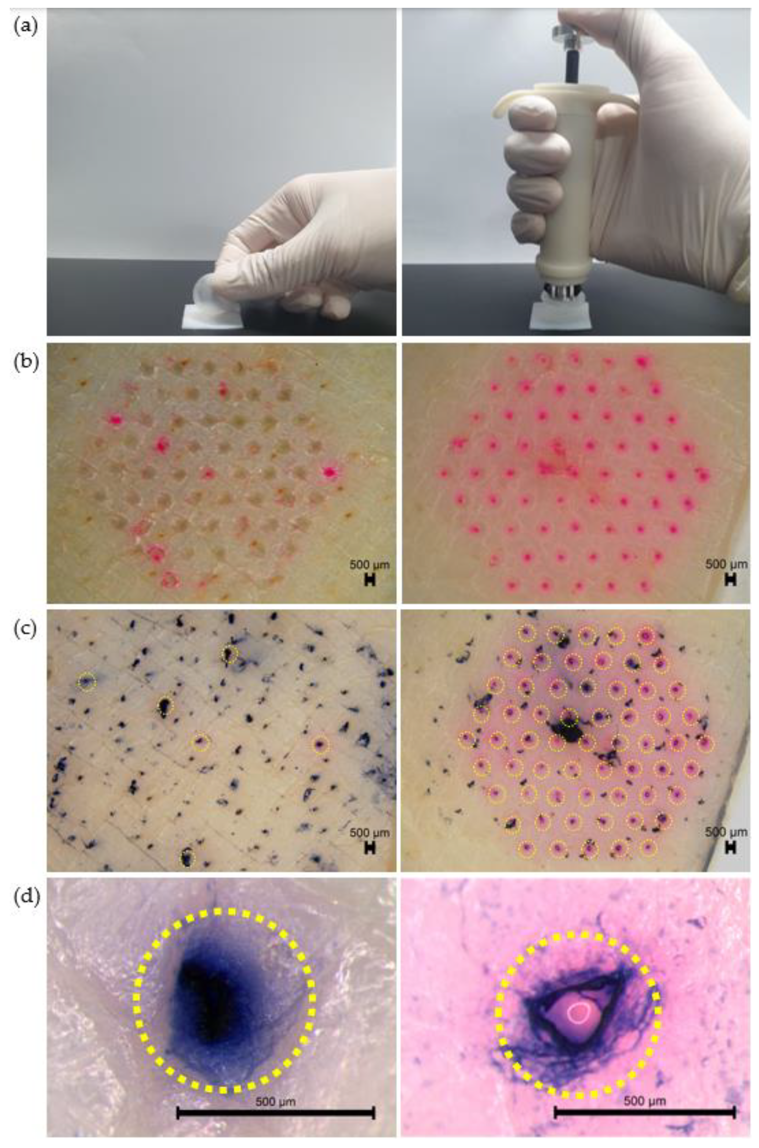 Polymers 14 04027 g003