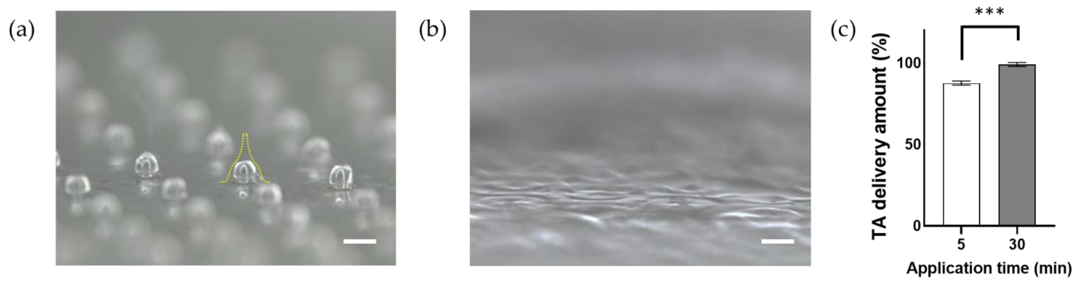 Polymers 14 04027 g004