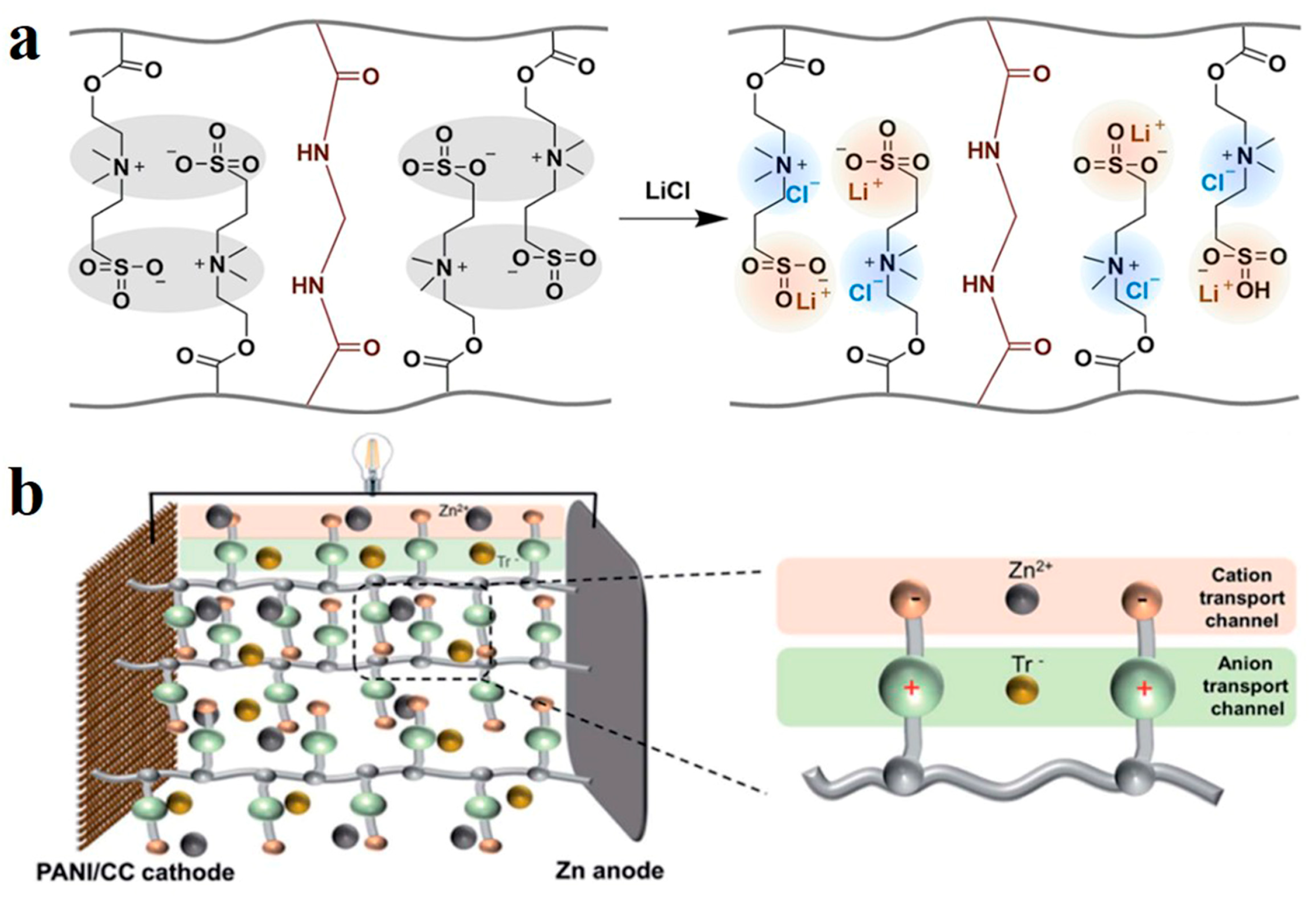 Polymers 14 04037 g004 Polymers 14 04037 g004