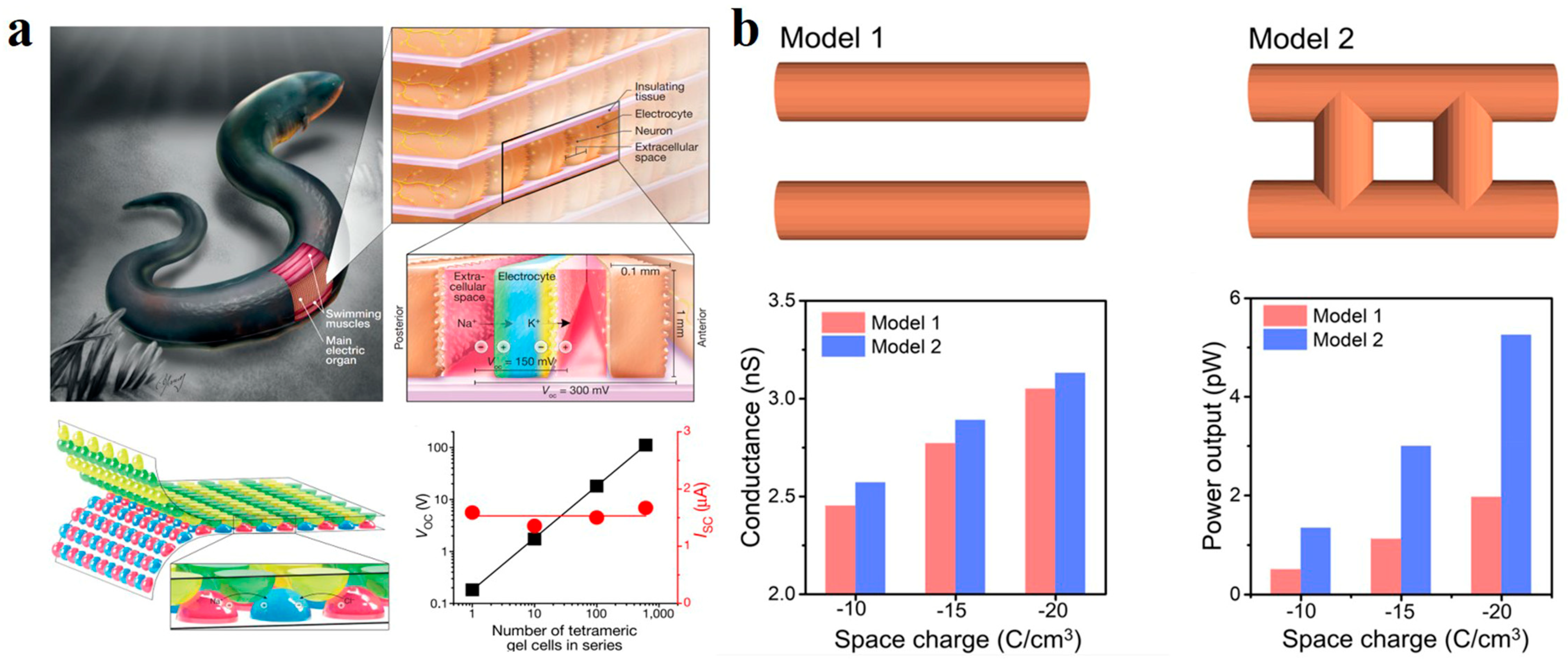Polymers 14 04037 g008 Polymers 14 04037 g008