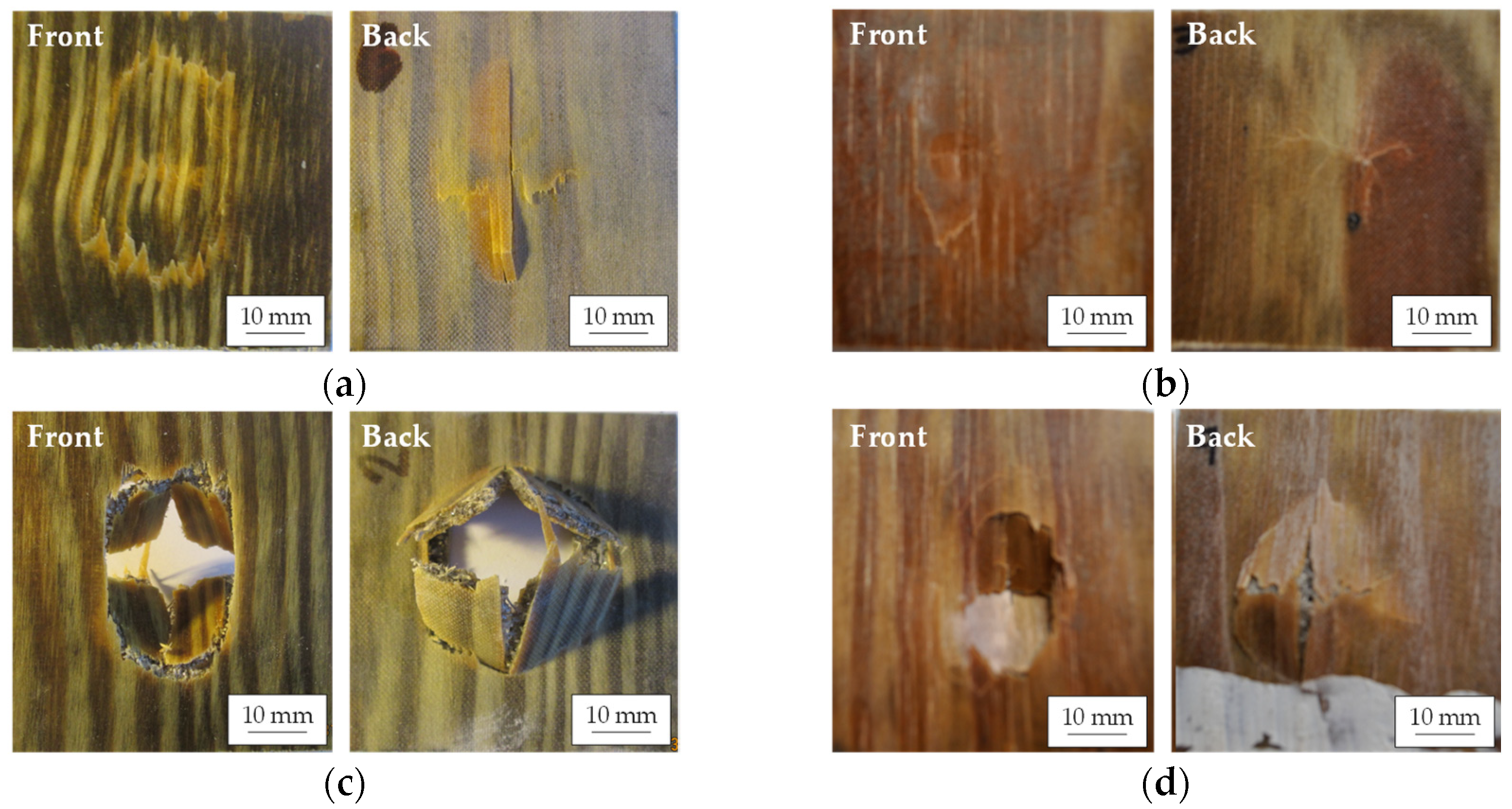 Polymers 14 04038 g009 Polymers 14 04038 g009