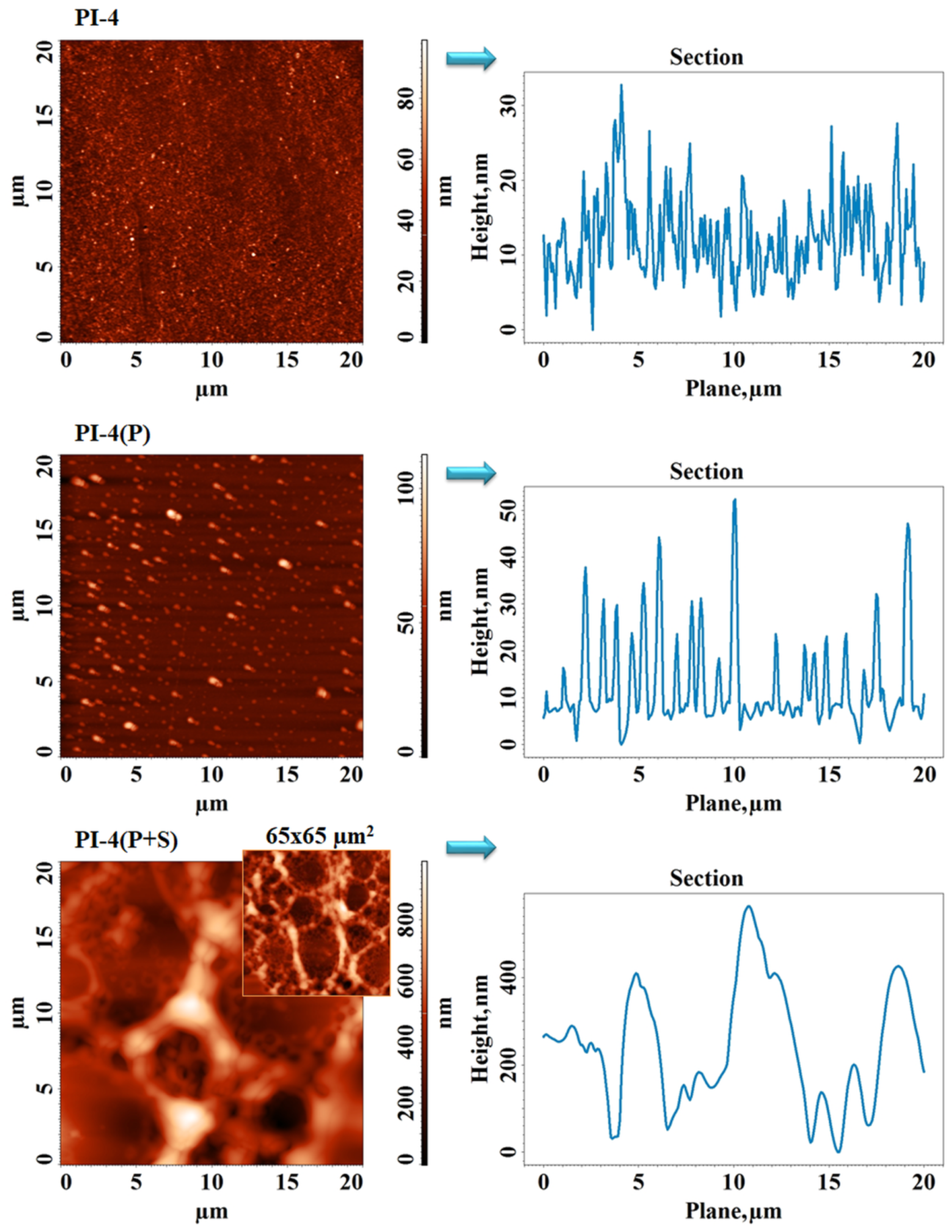 Polymers 14 04049 g009