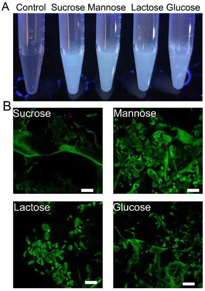 Polymers 14 04050 g003 Polymers 14 04050 g003