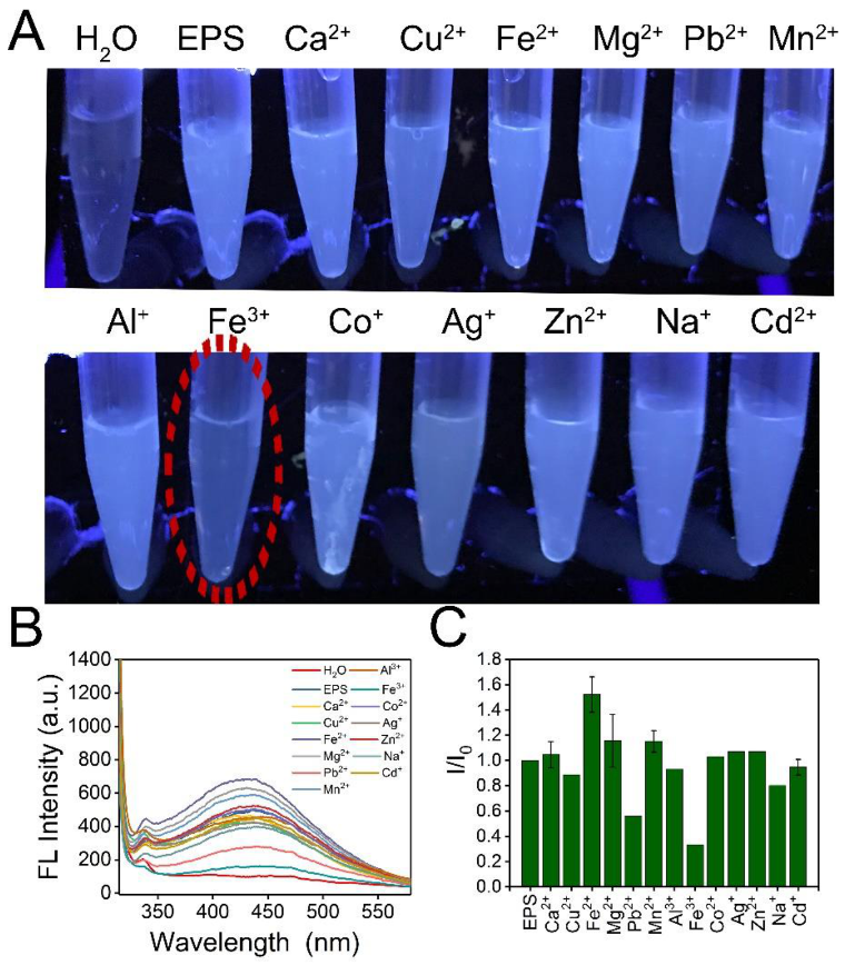 Polymers 14 04050 g004 Polymers 14 04050 g004