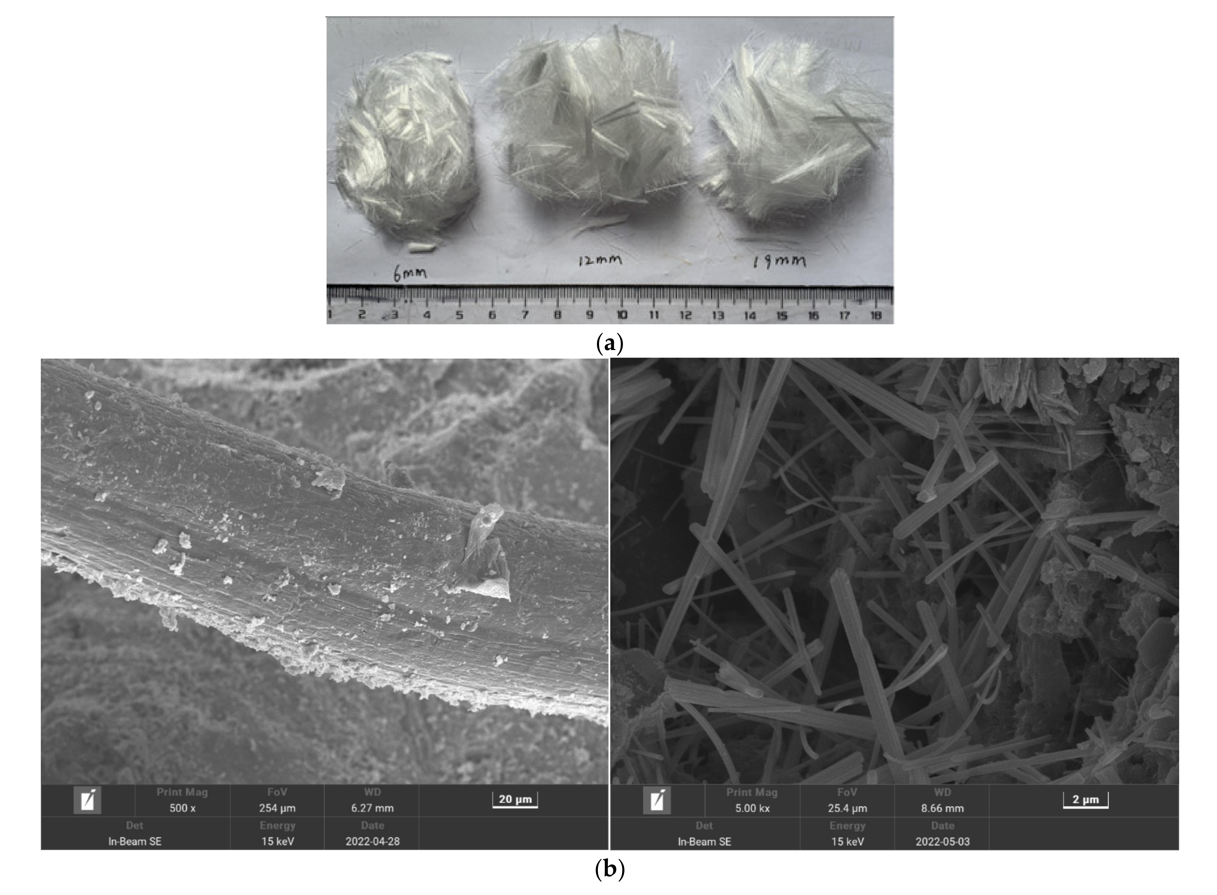 Polymers 14 04054 g002