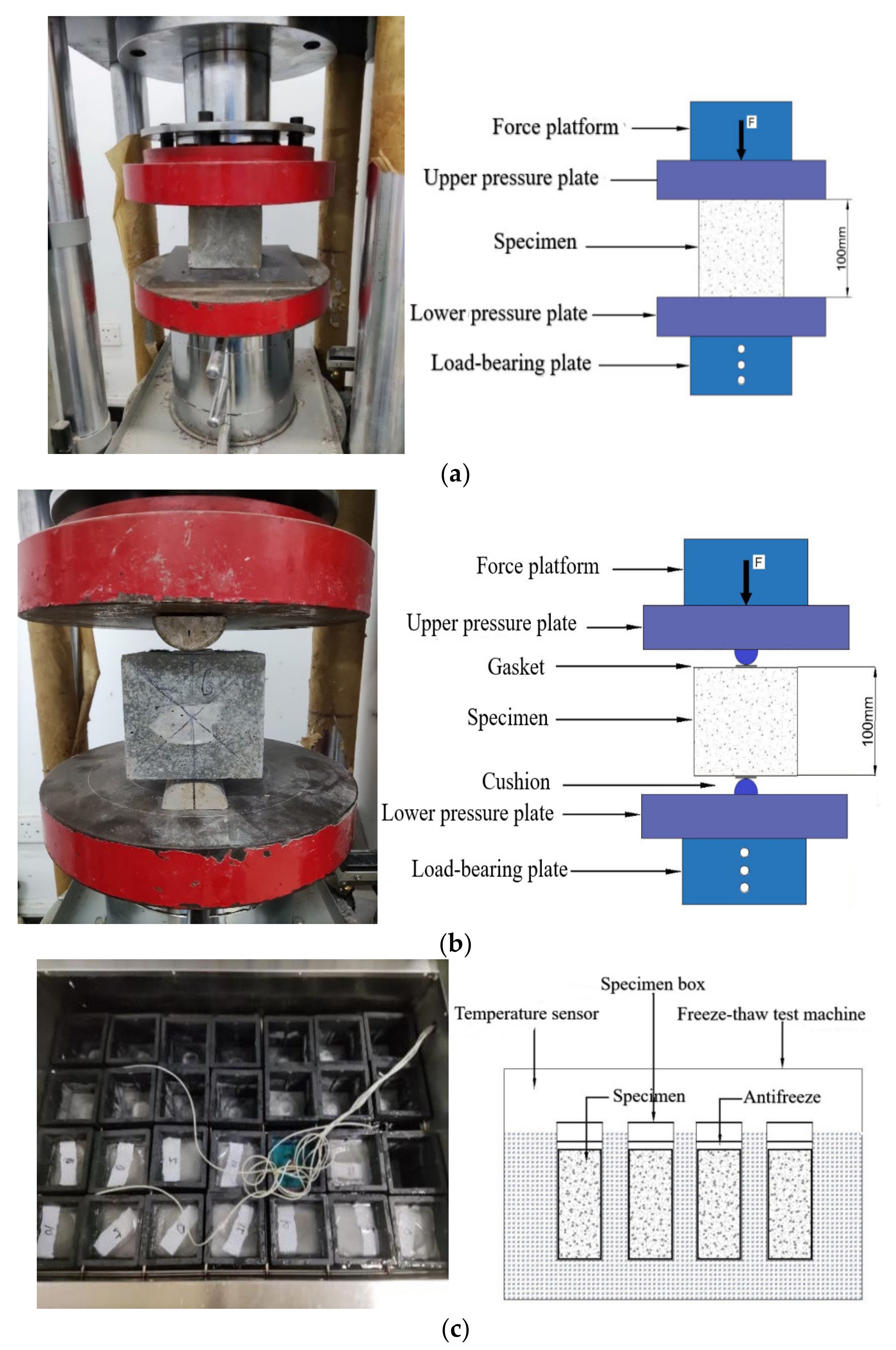 Polymers 14 04054 g003