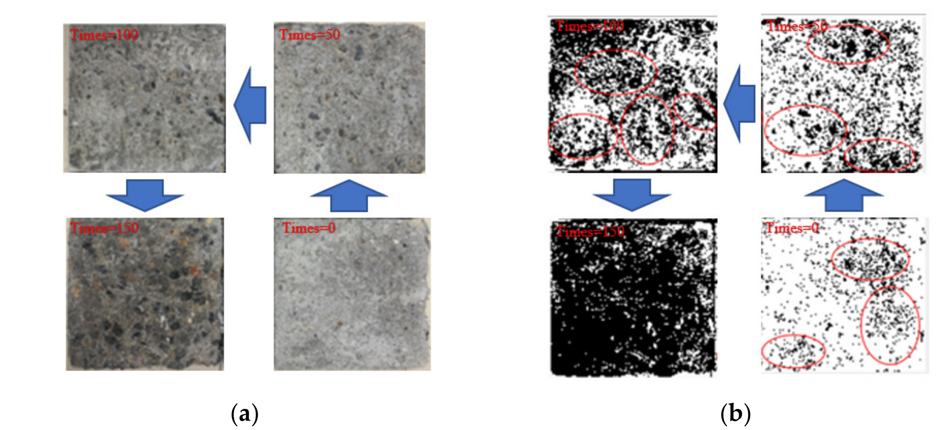 Polymers 14 04054 g006