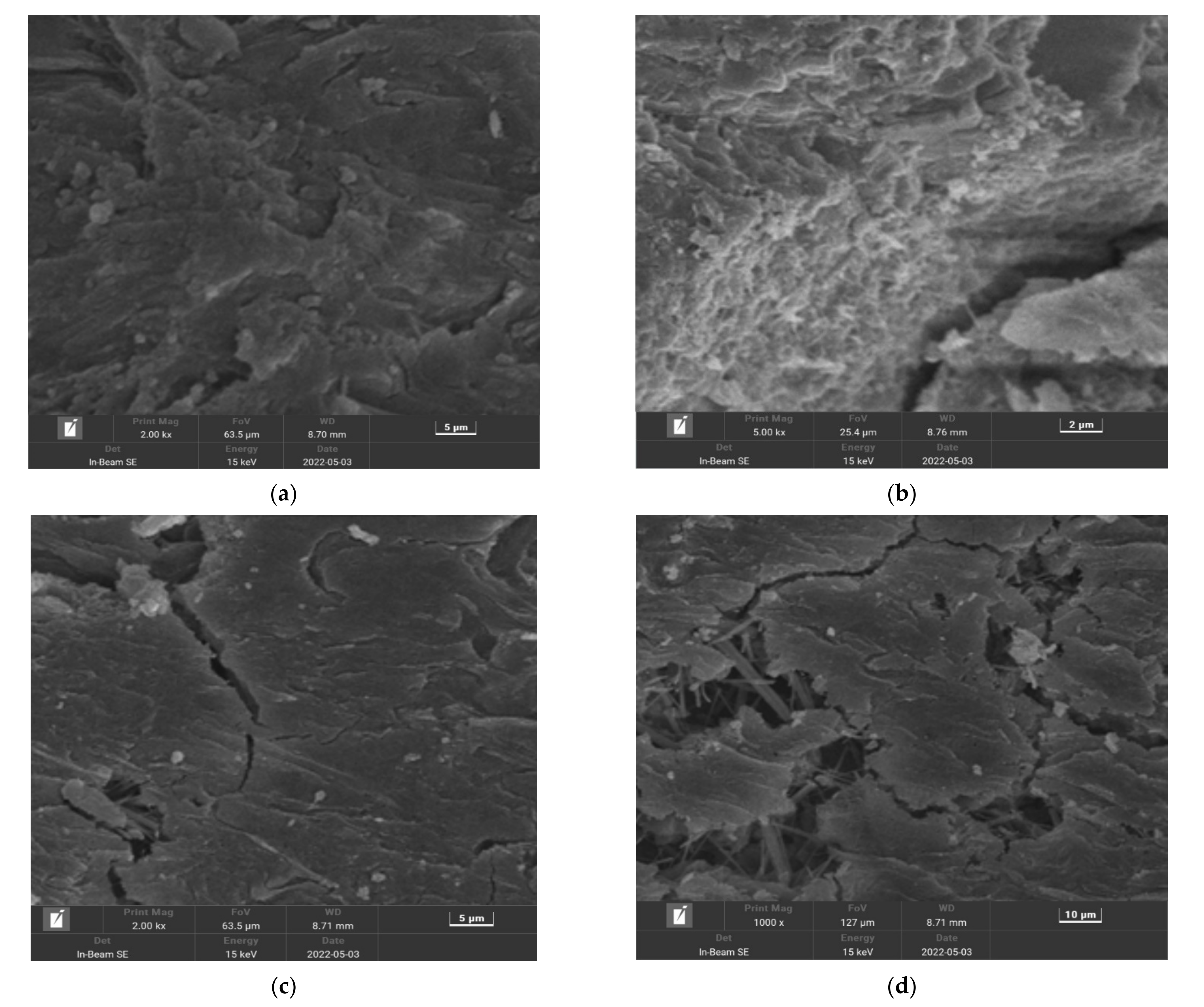 Polymers 14 04054 g012