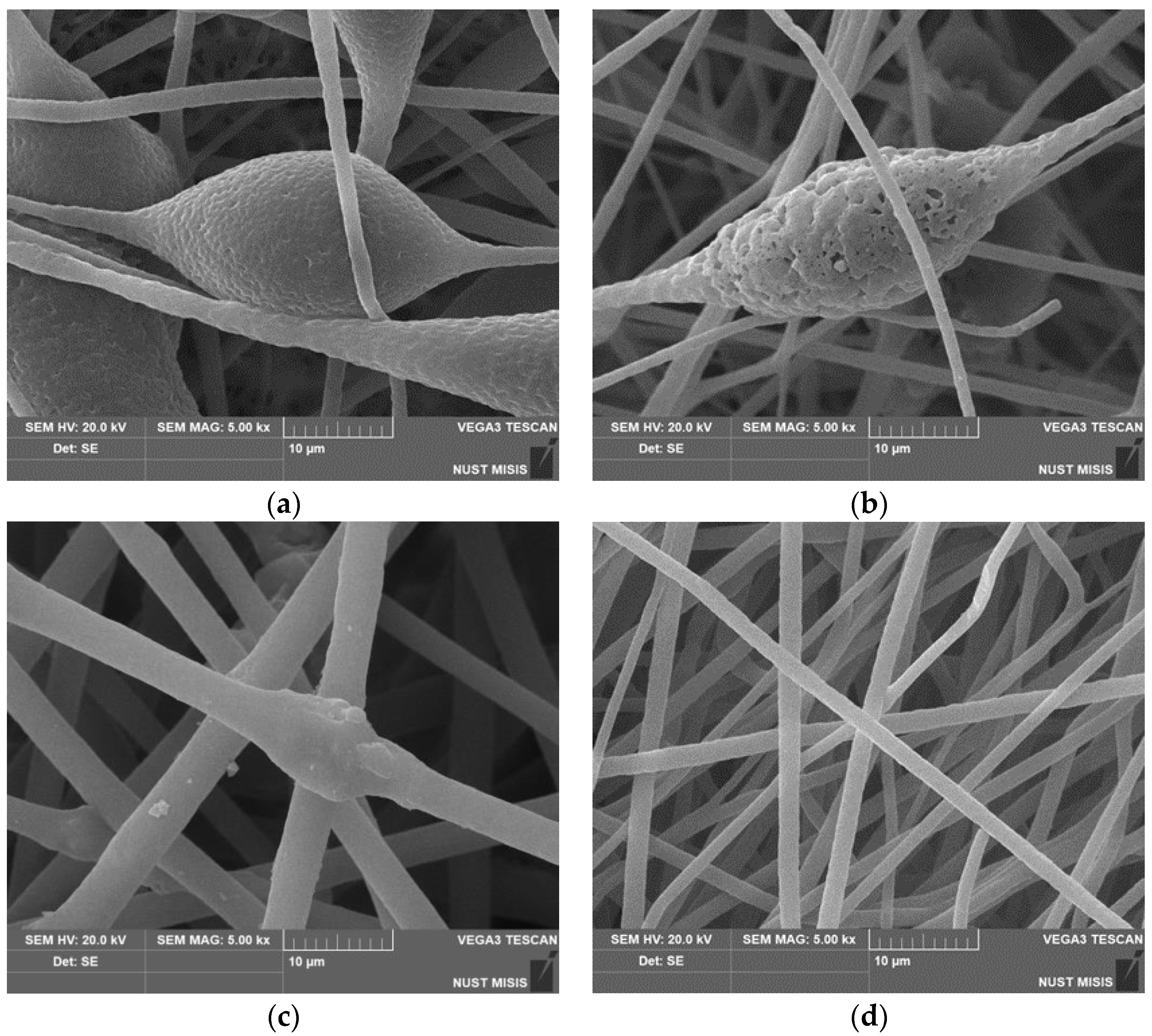Polymers 14 04055 g002 550