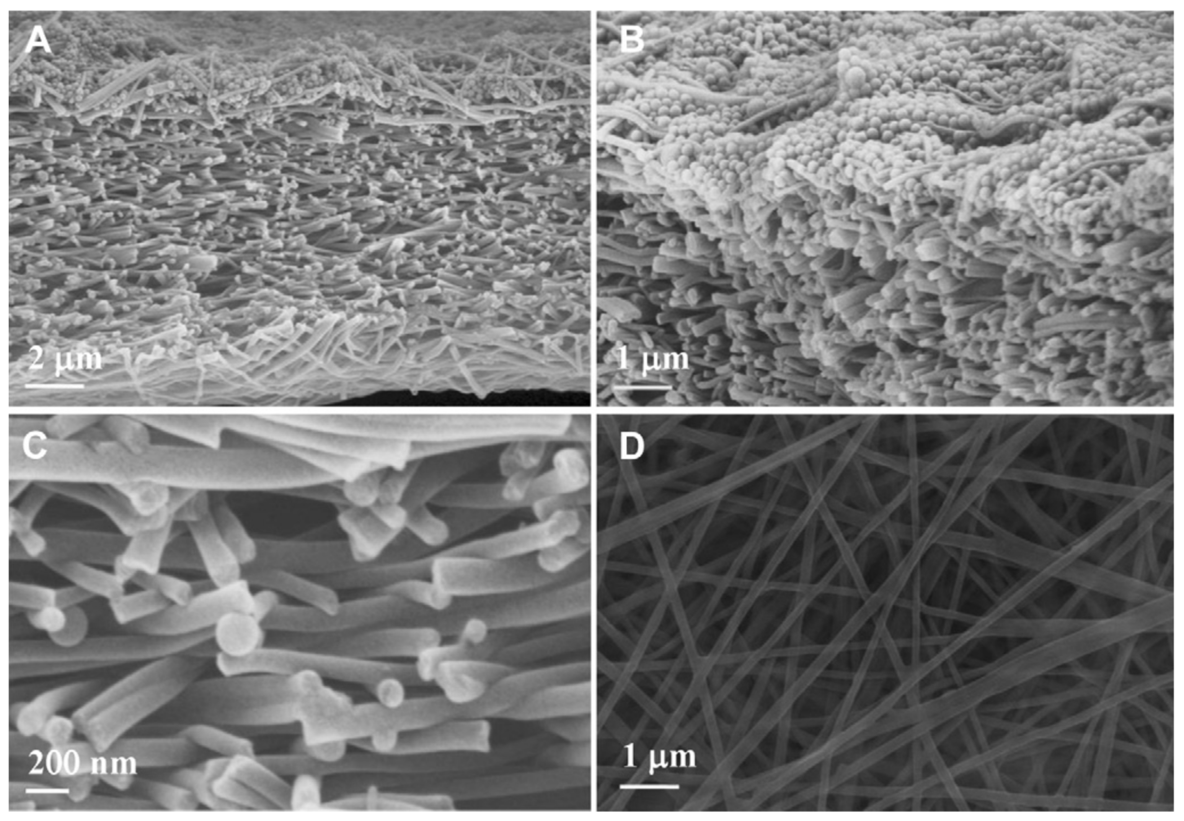 Polymers 14 04059 g003 Polymers 14 04059 g003