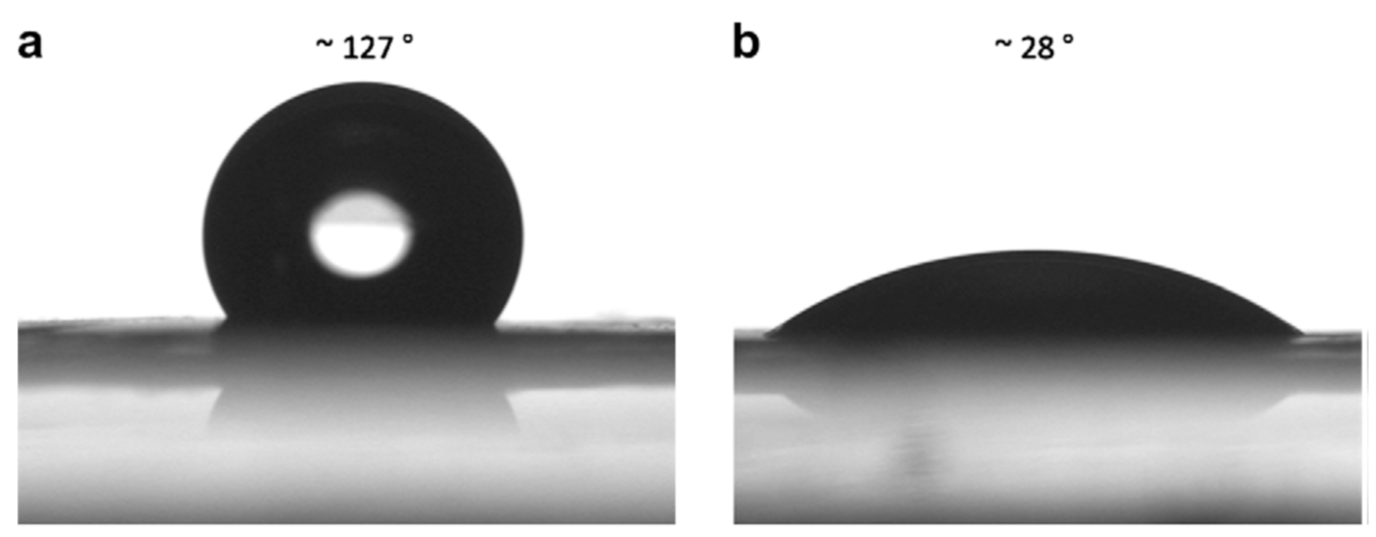 Polymers 14 04059 g009 Polymers 14 04059 g009