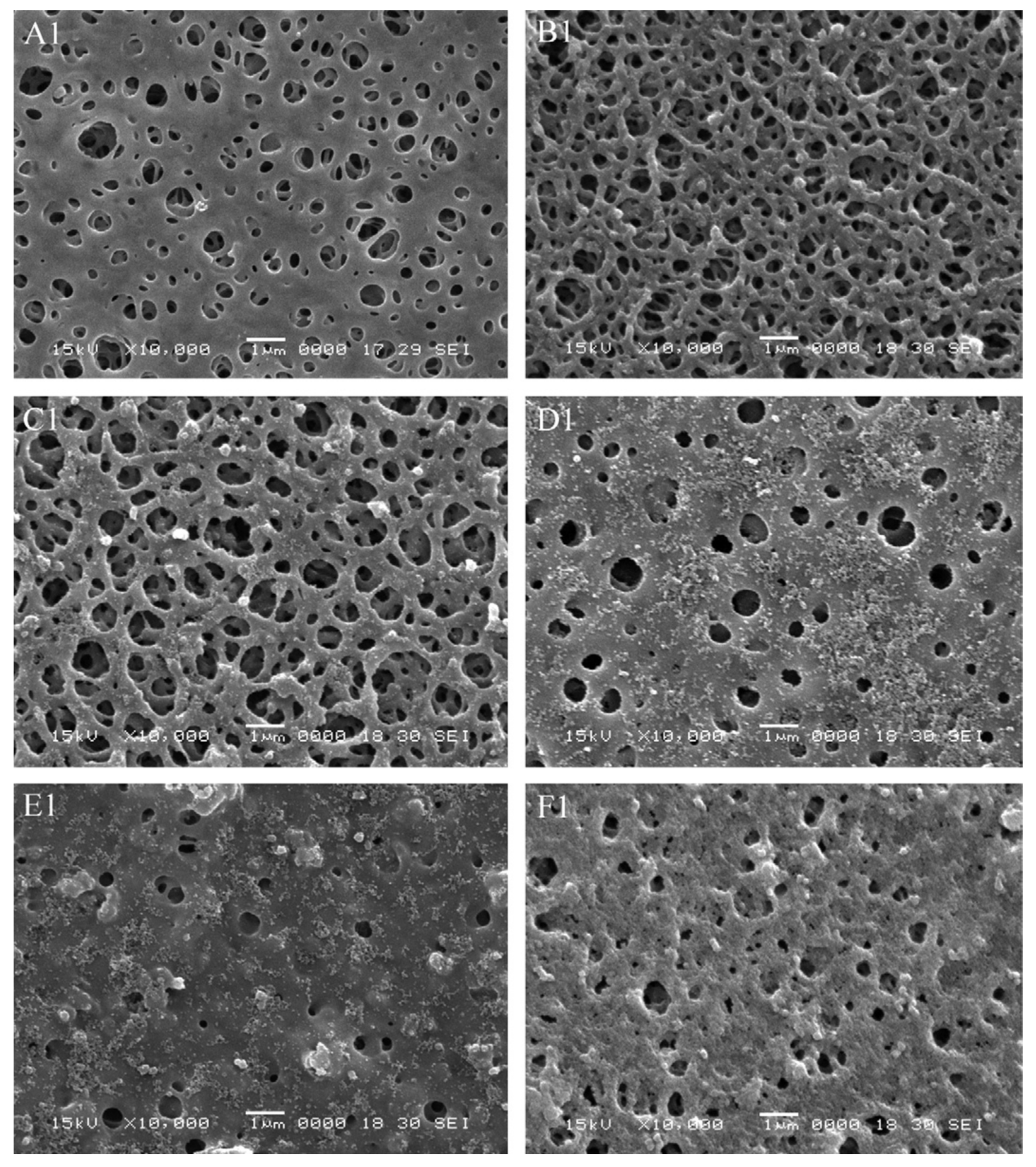 Polymers 14 04059 g010 Polymers 14 04059 g010