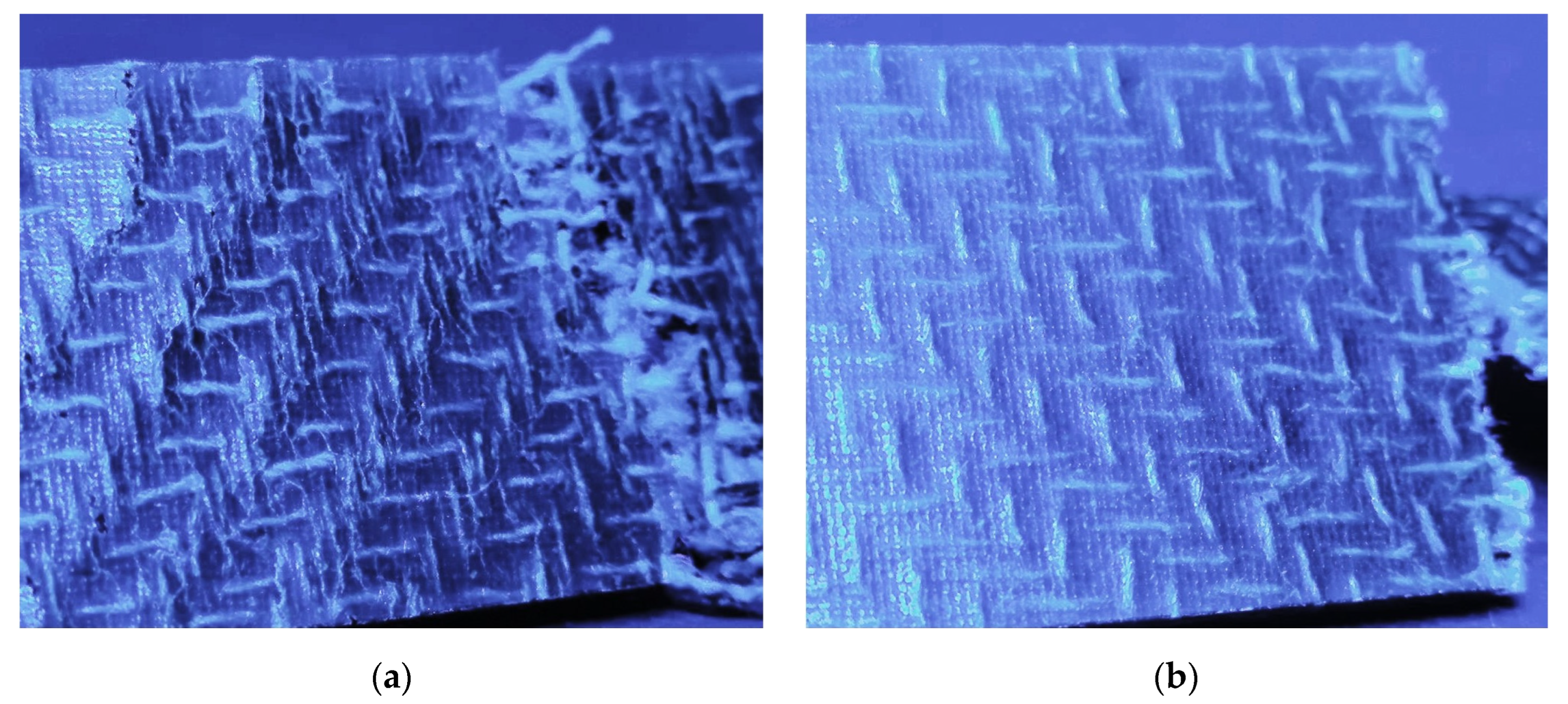 Polymers 14 04060 g012