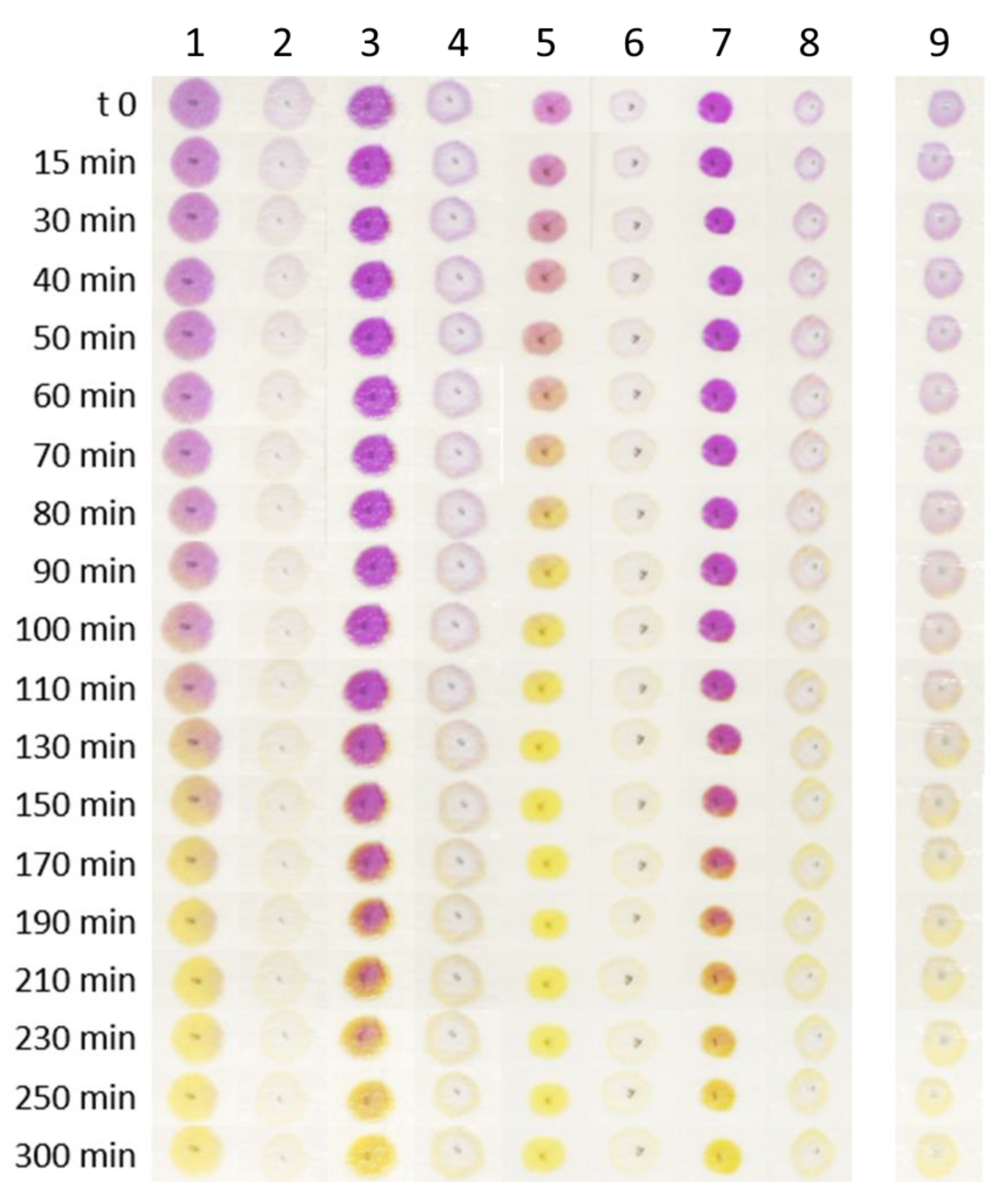 Polymers 14 04061 g004