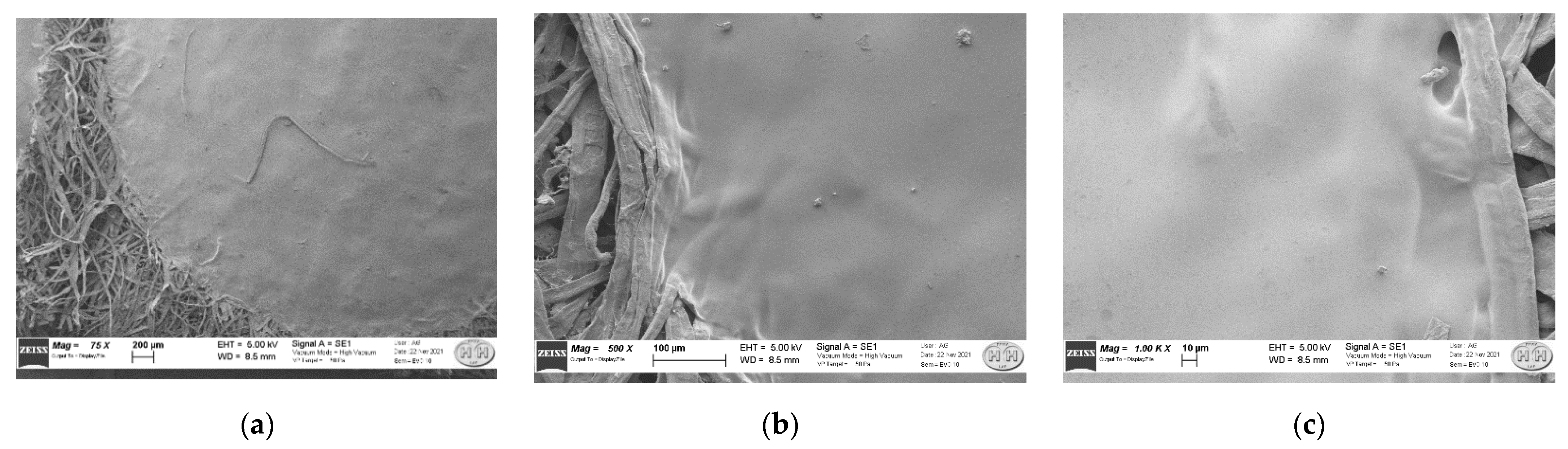 Polymers 14 04061 g007