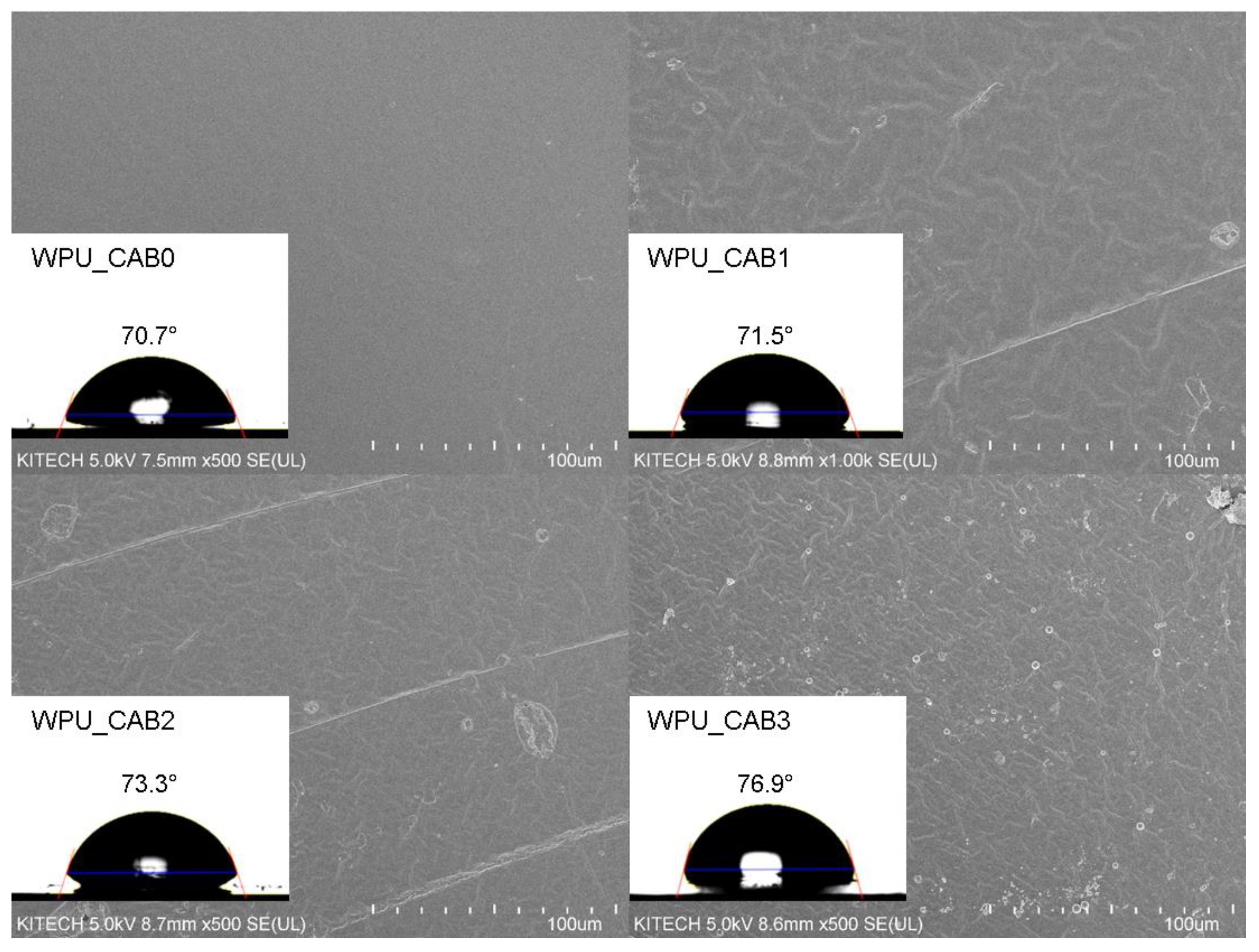 Polymers 14 04062 g007