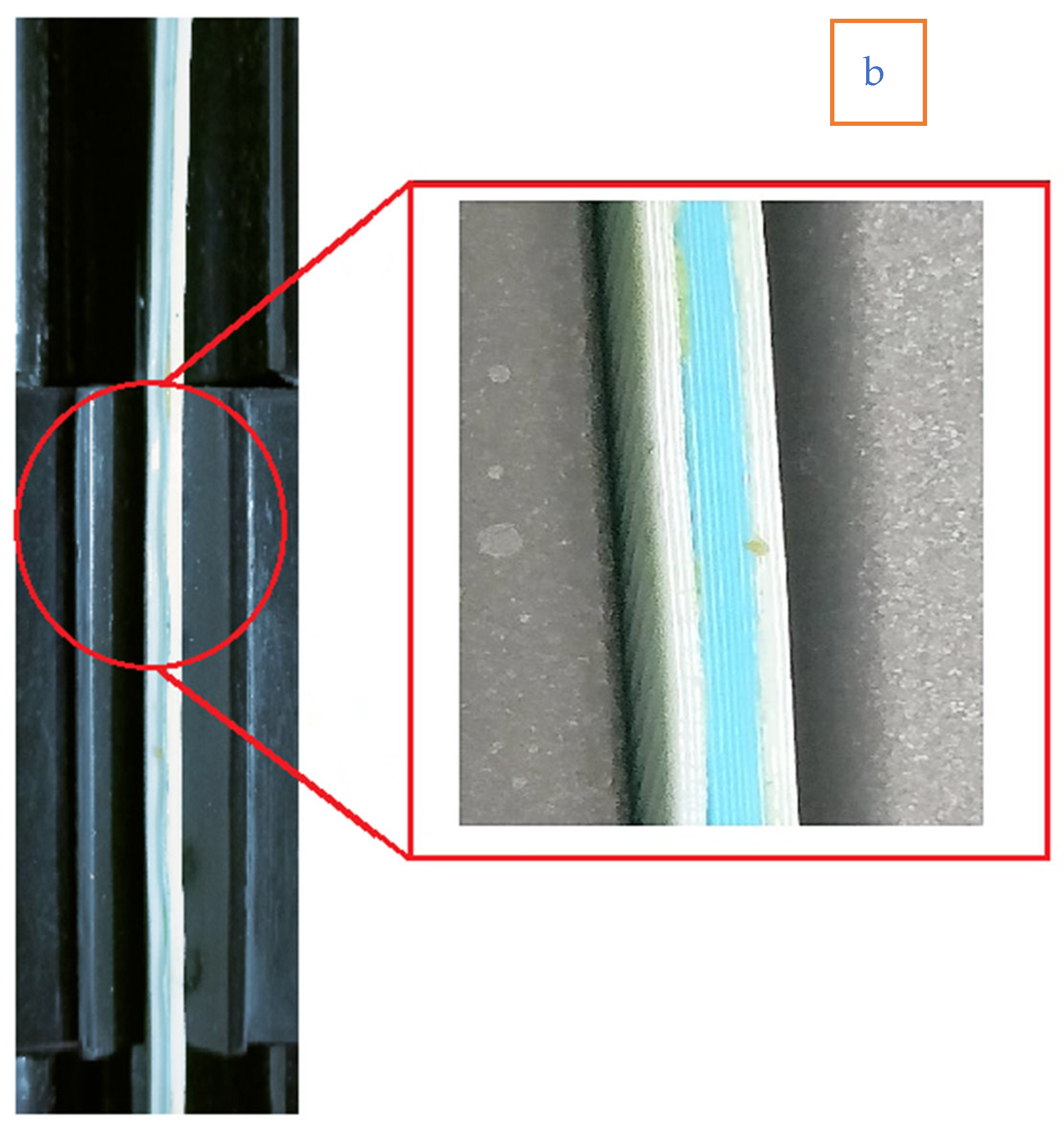 Polymers 14 04066 g003b Polymers 14 04066 g003b