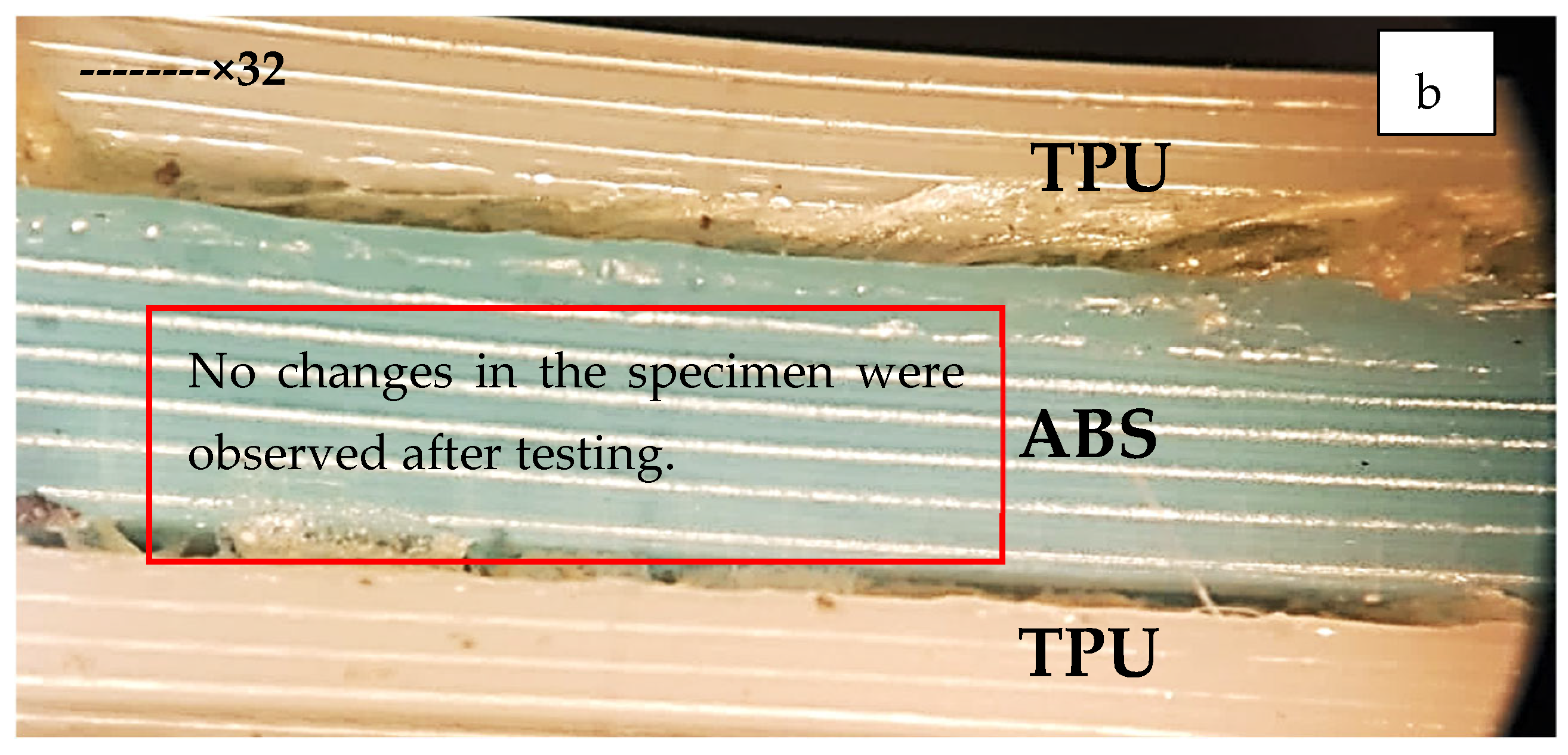 Polymers 14 04066 g013b Polymers 14 04066 g013b