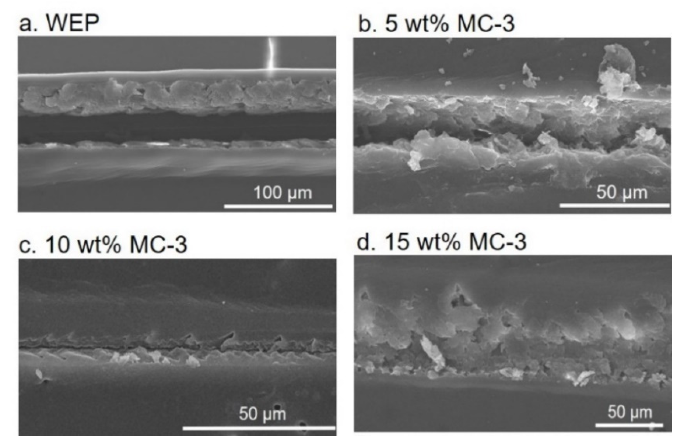 Polymers 14 04067 g006