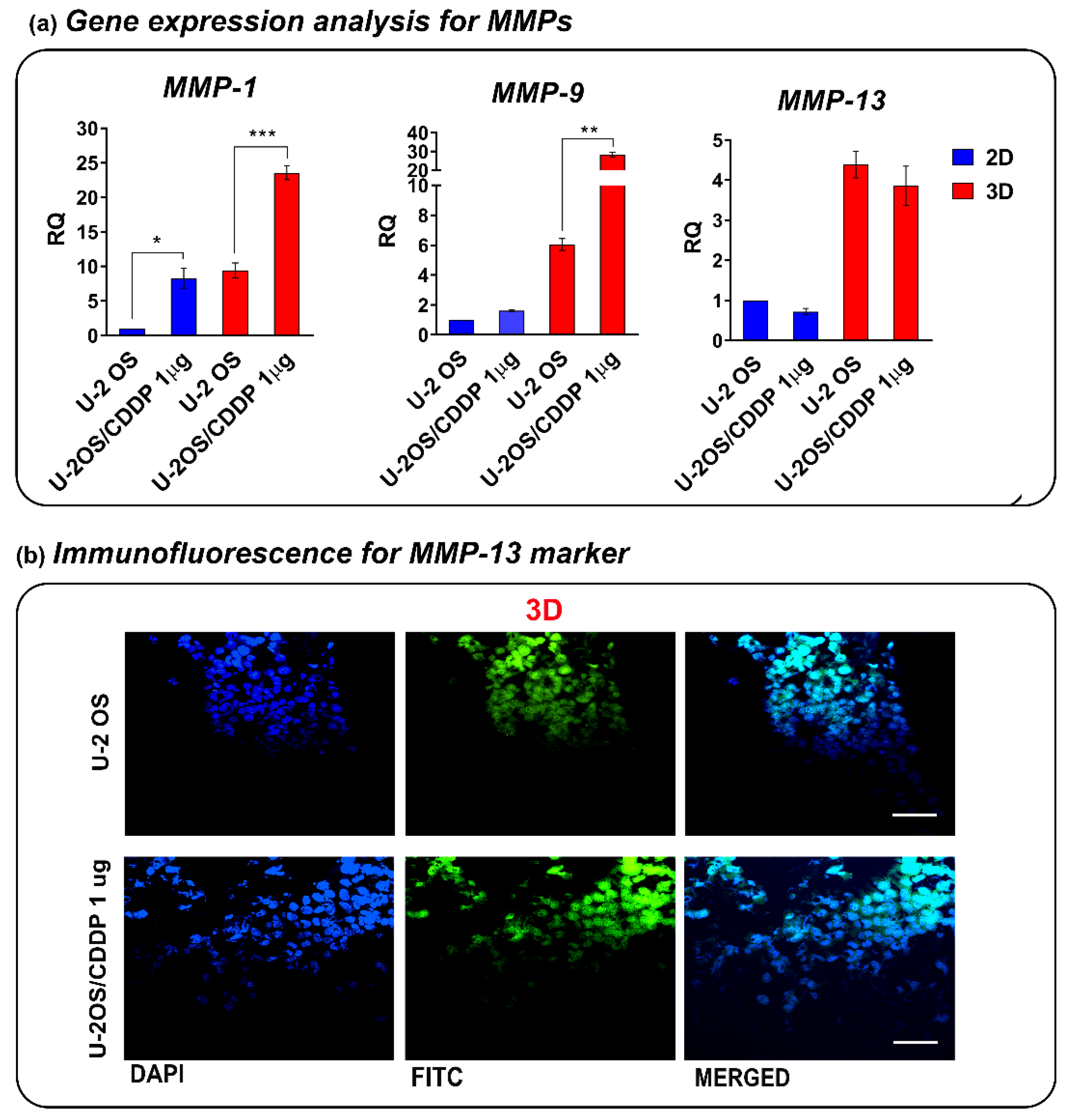 Polymers 14 04070 g005