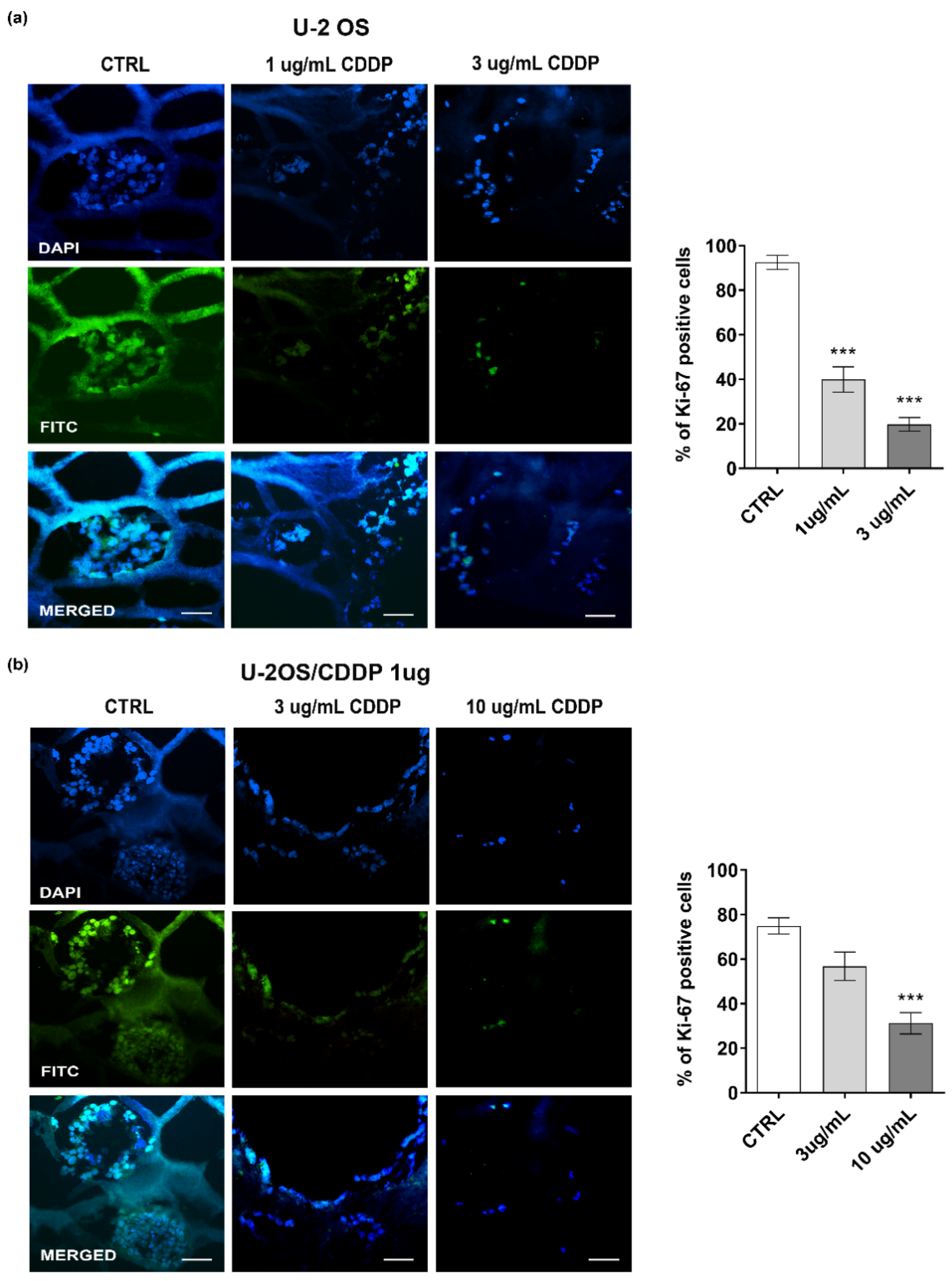 Polymers 14 04070 g007