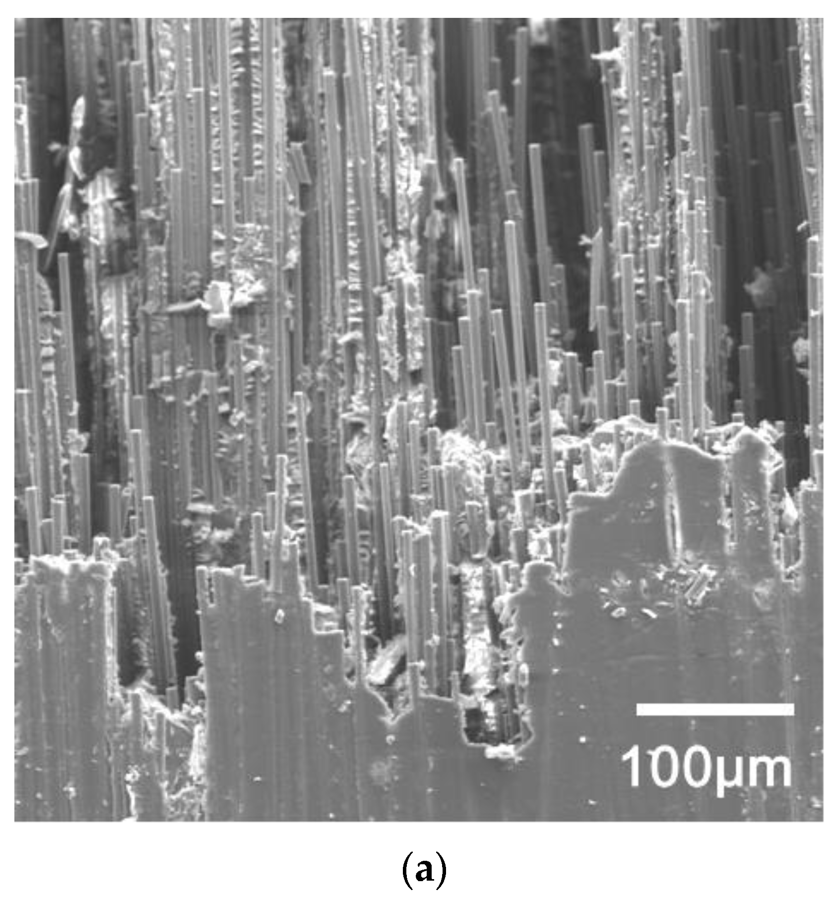 Polymers 14 04072 g007a